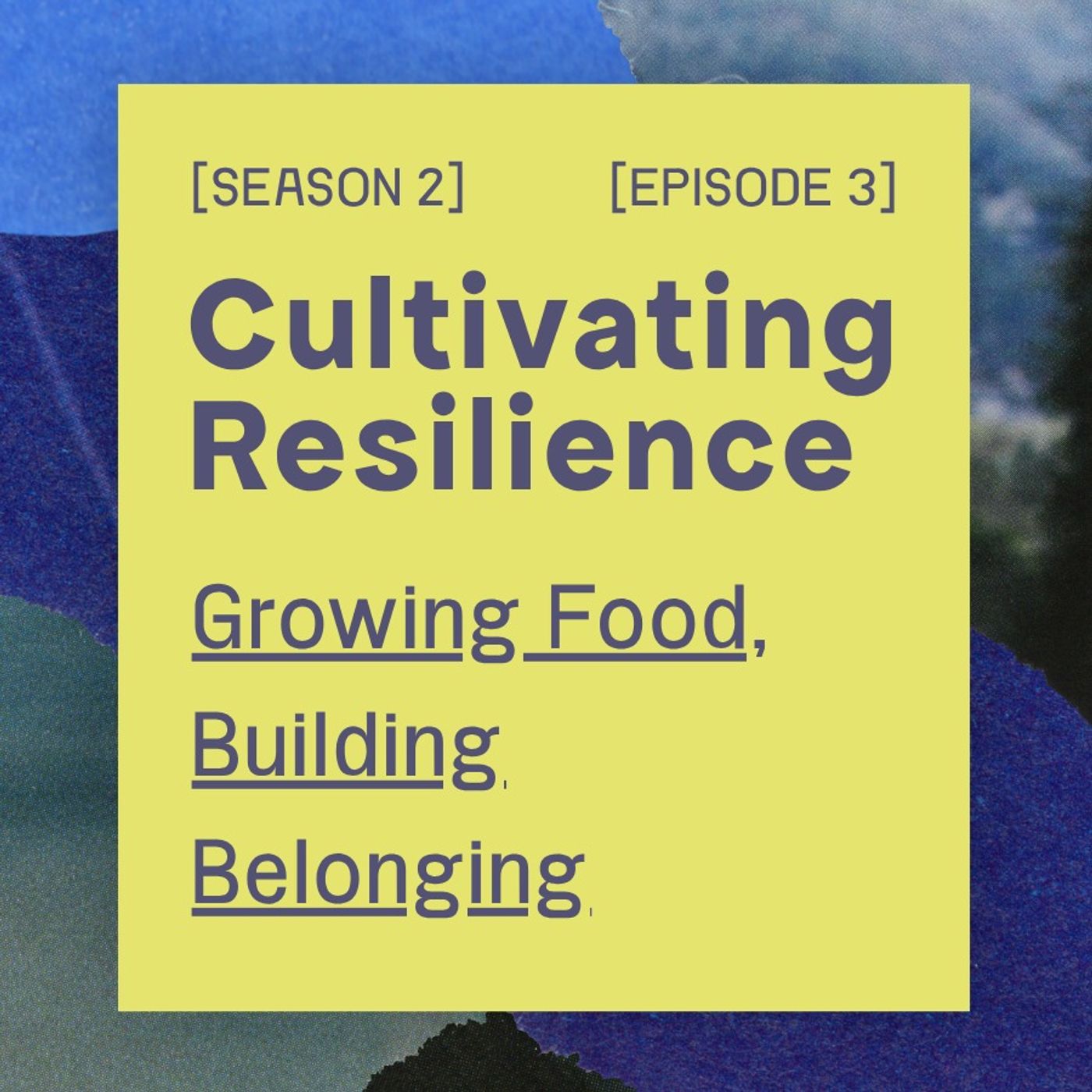 Growing Food, Building Belonging
