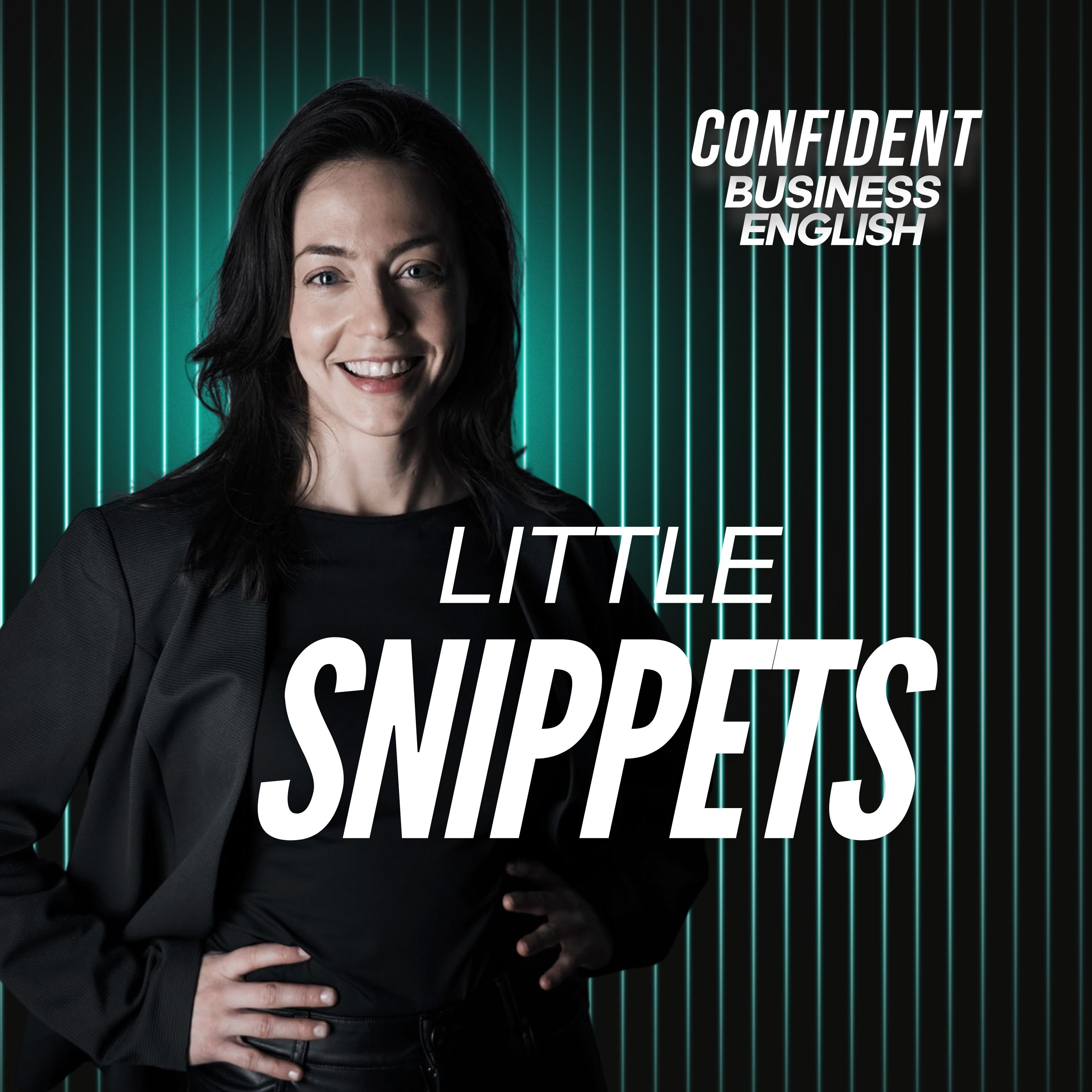 309. Communicating Effectively with Executives: Little Snippet #19