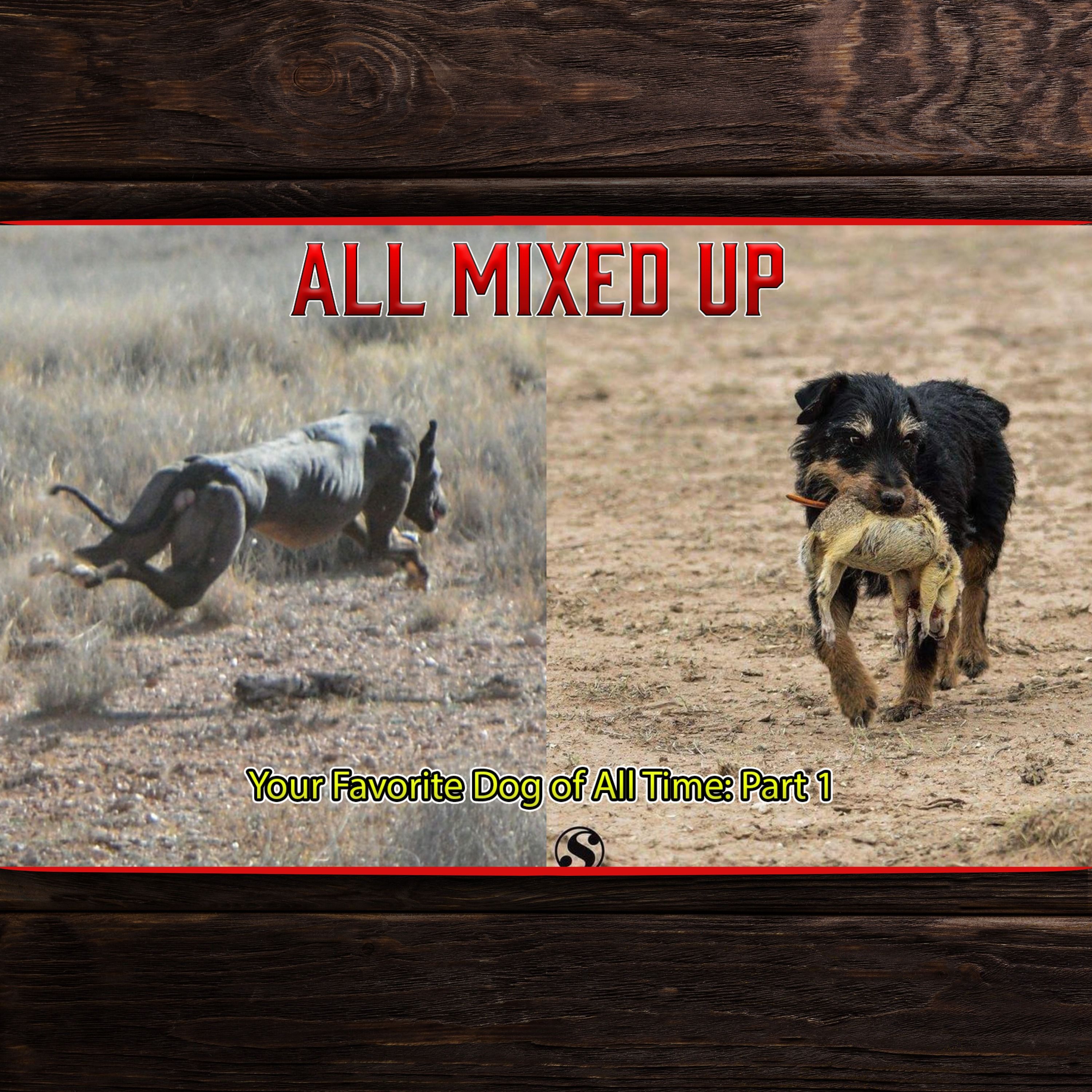 All Mixed Up: Your Favorite Dog of All Time Part 1