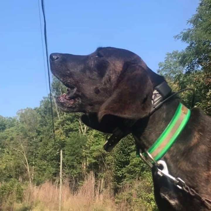 Xtreme Performance Outdoor Network