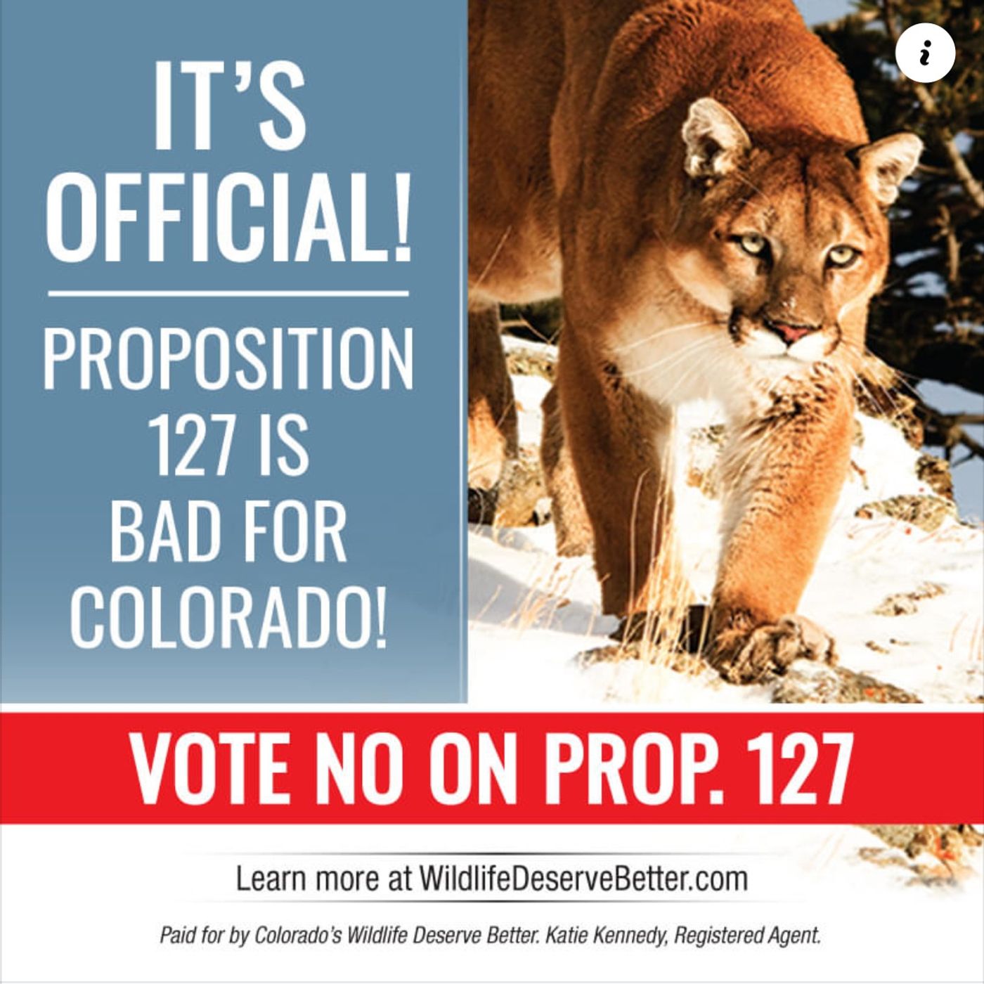 Colorado Battle Ground Update with Mark Truax