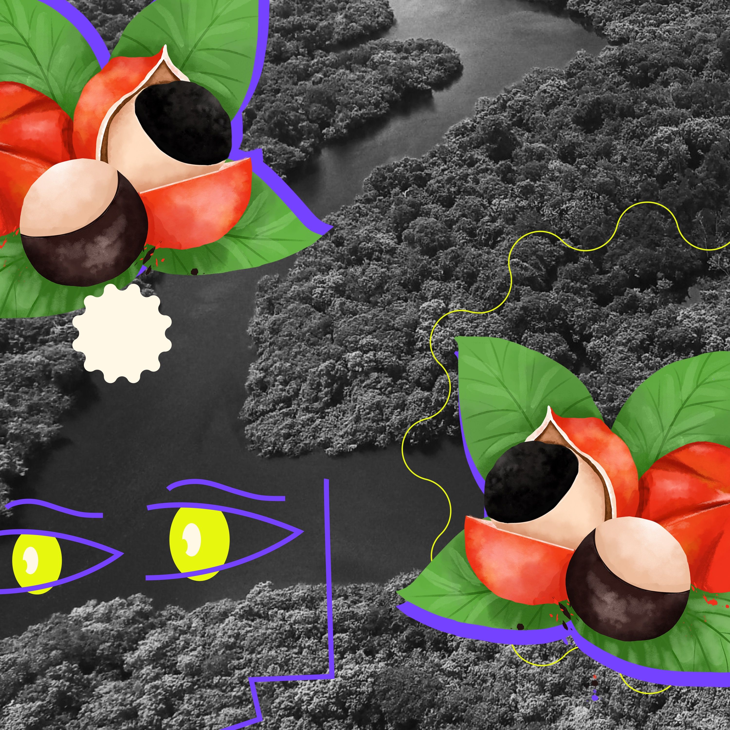 Ressurgências | O guaraná e a floresta recriada