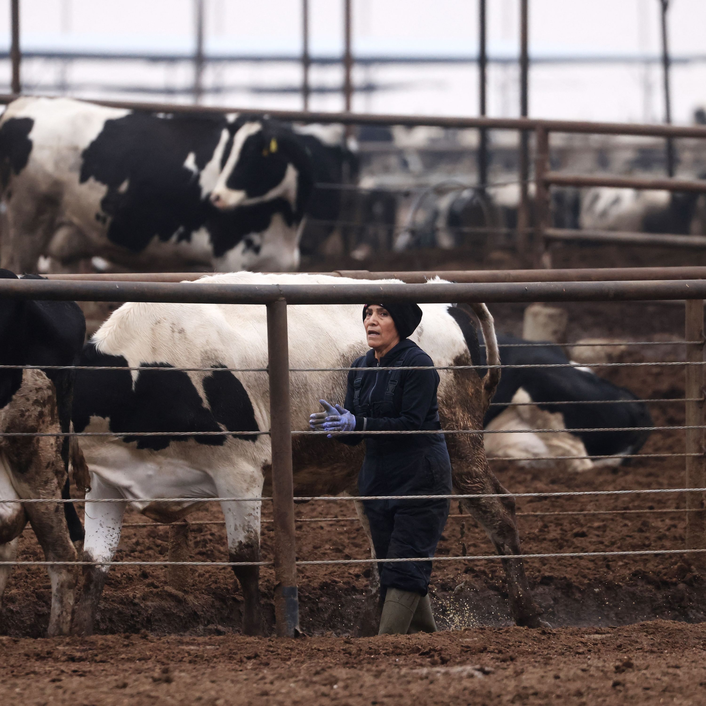 Why Fewer Immigrants Doesn't Mean More Jobs