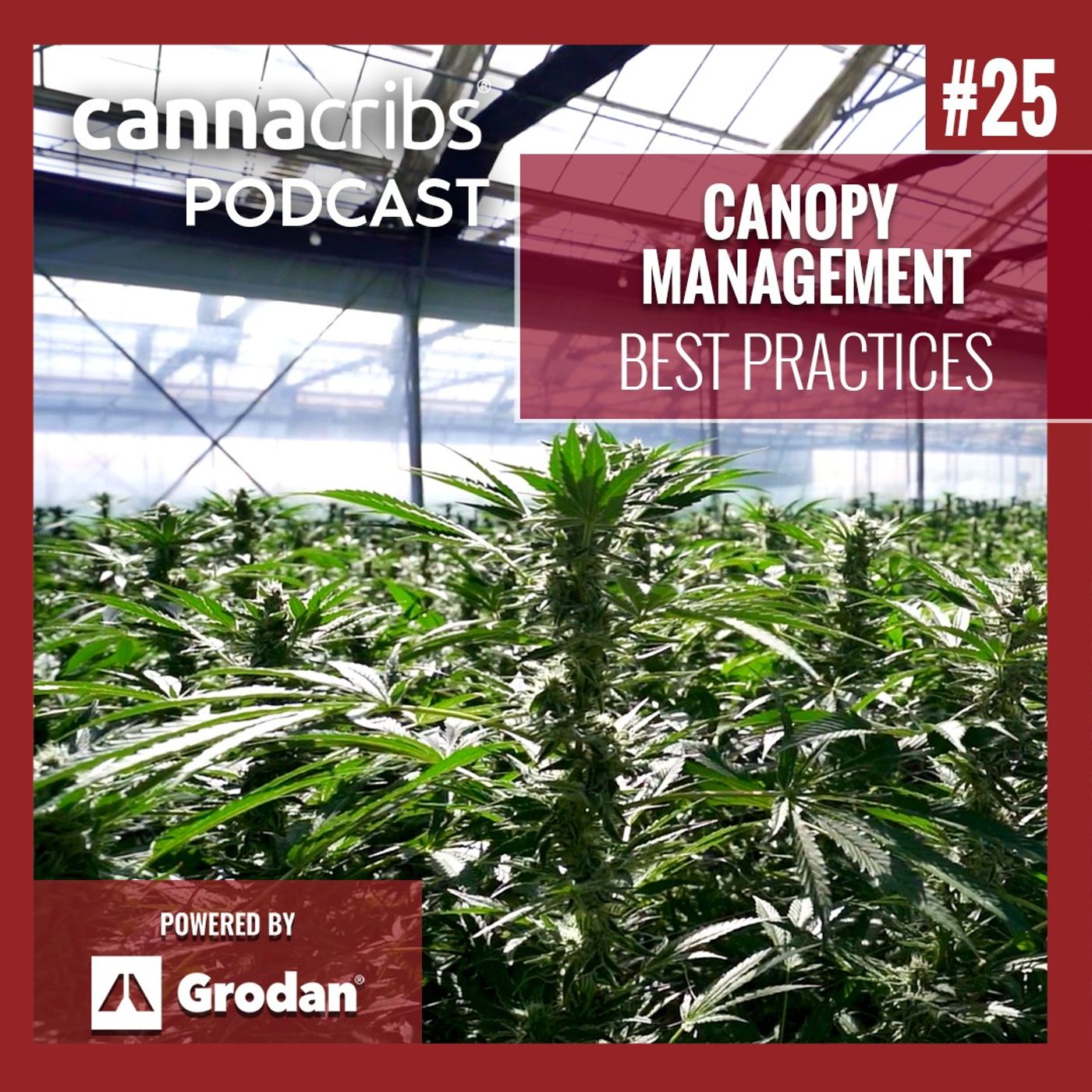 Canna Cribs Podcast