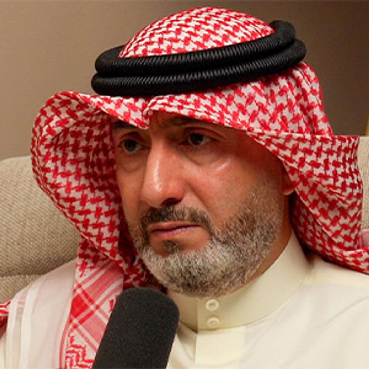 تاريخ المقاومة اليائسة | عامر فردان