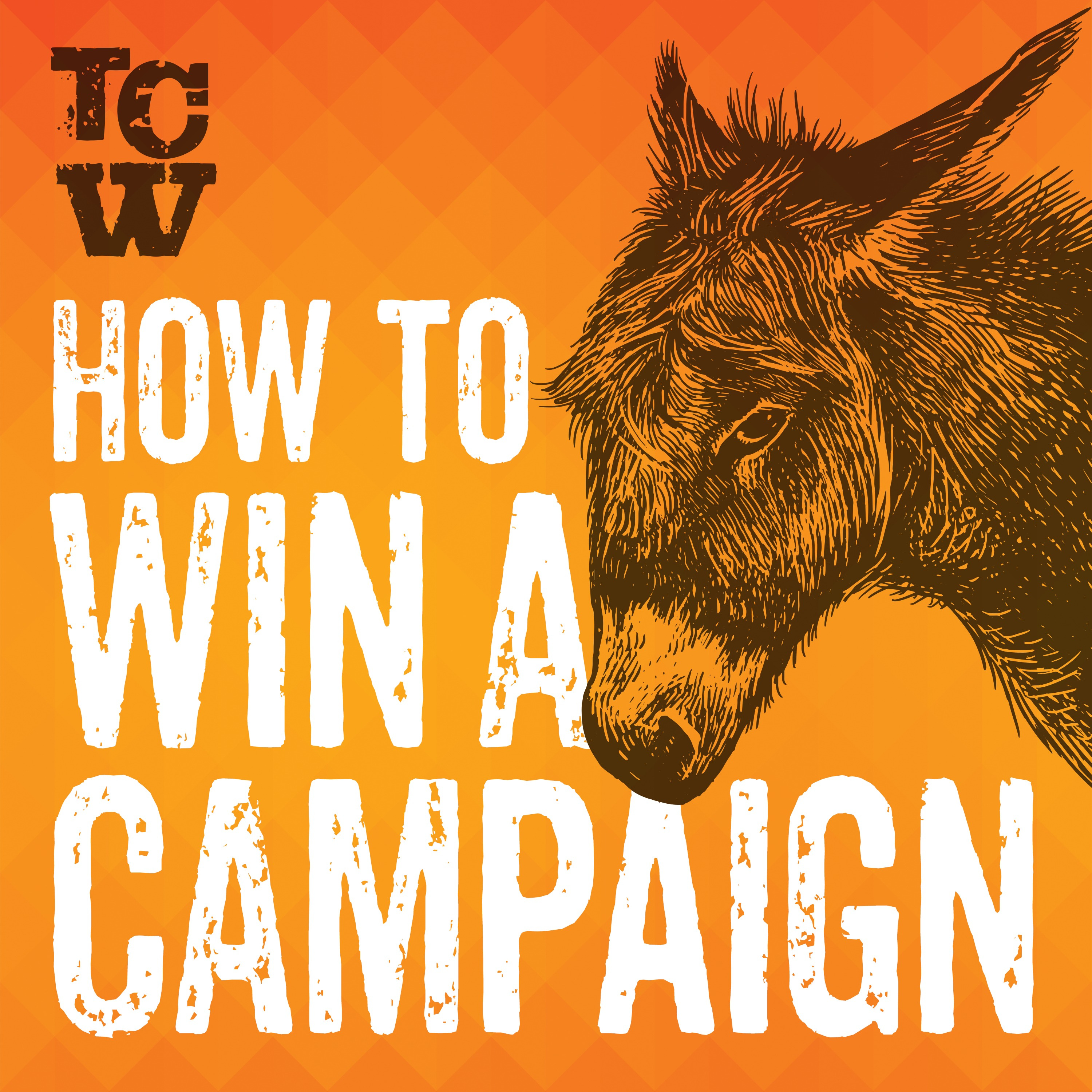 How to Win a Campaign