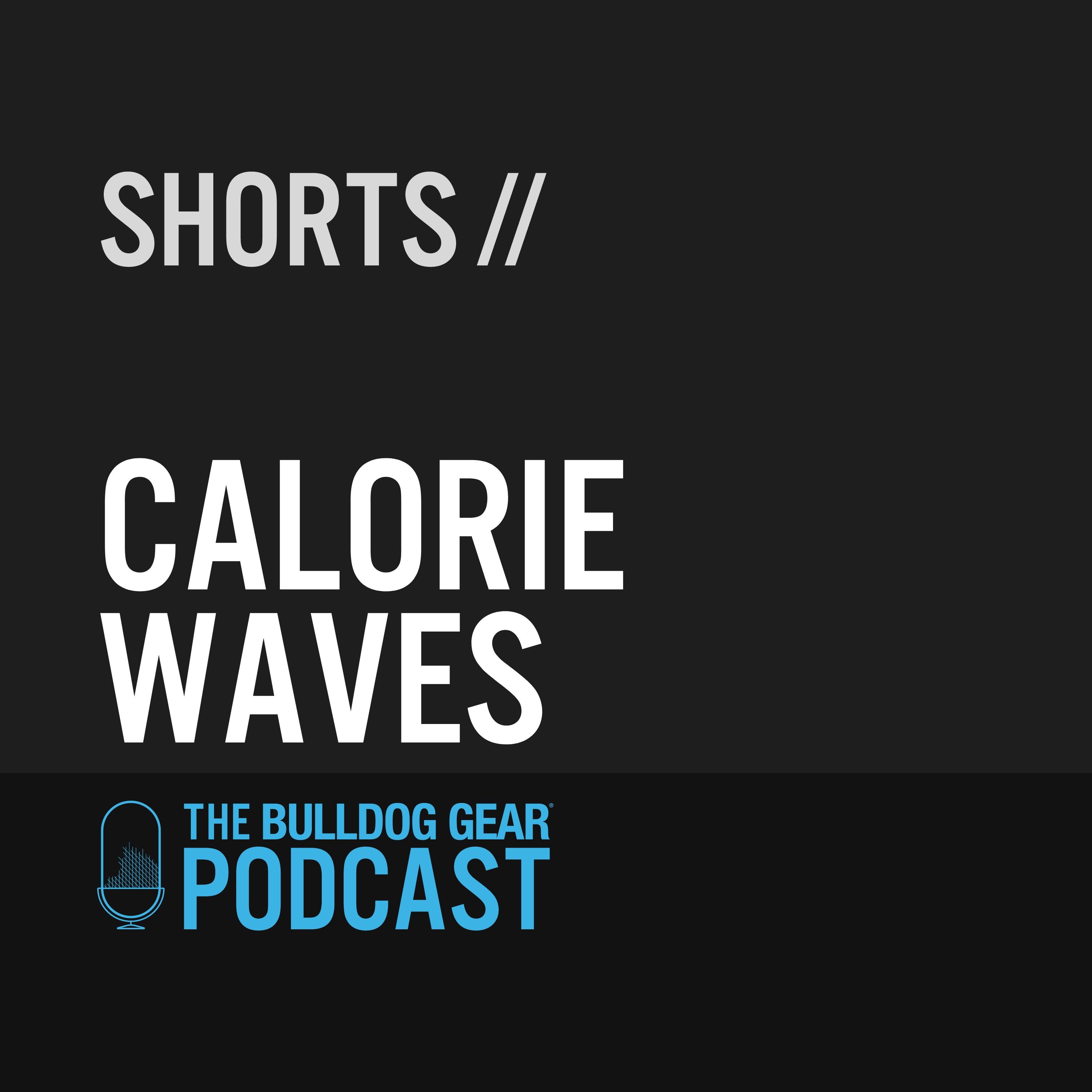 Shorts - Calorie Waves