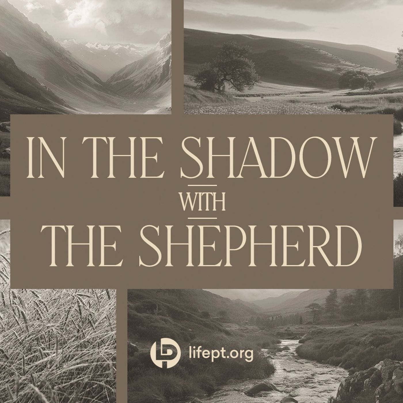 In the Shadow with the Shepherd | Shepherd and Shelter Week 2 episode artwork