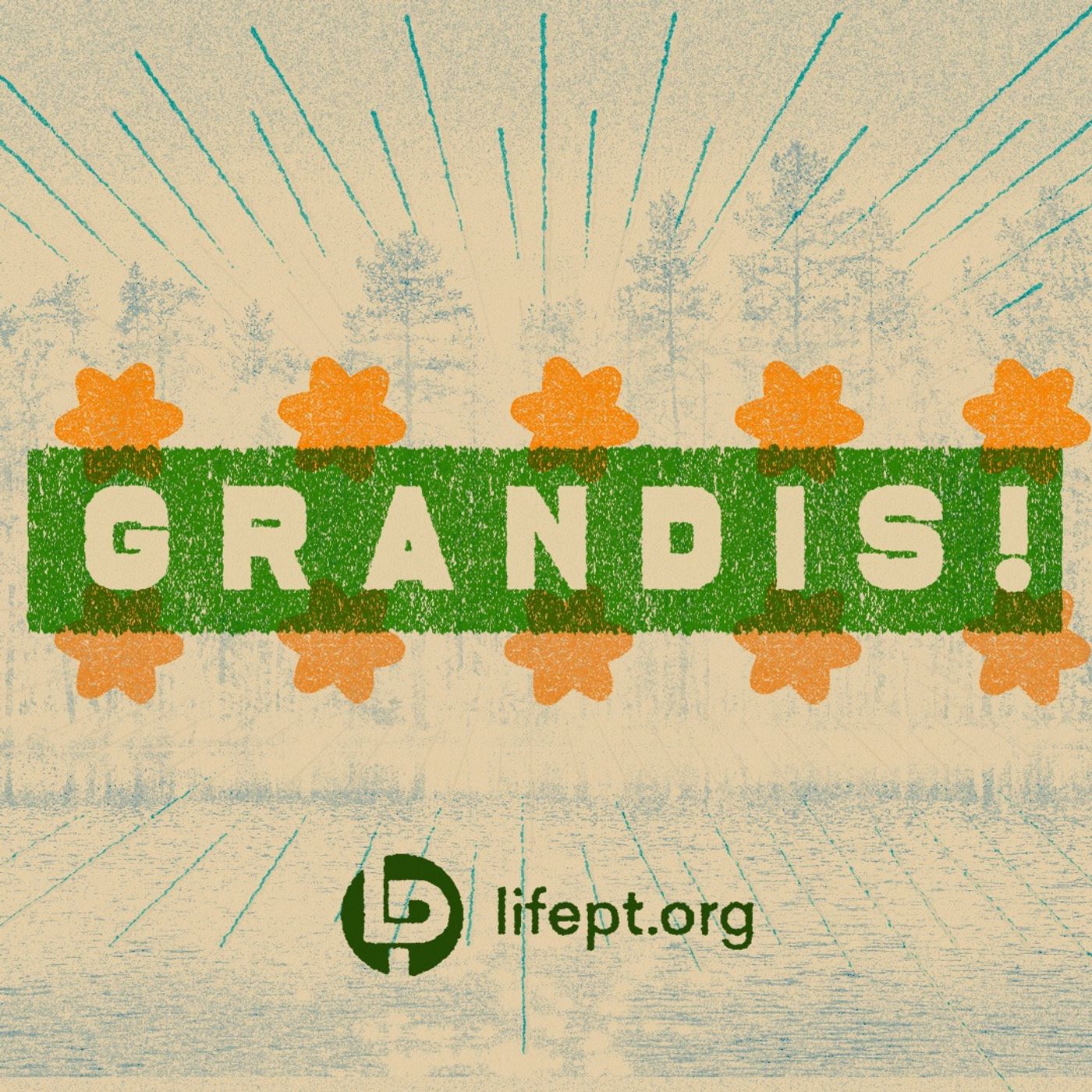 Grandis !