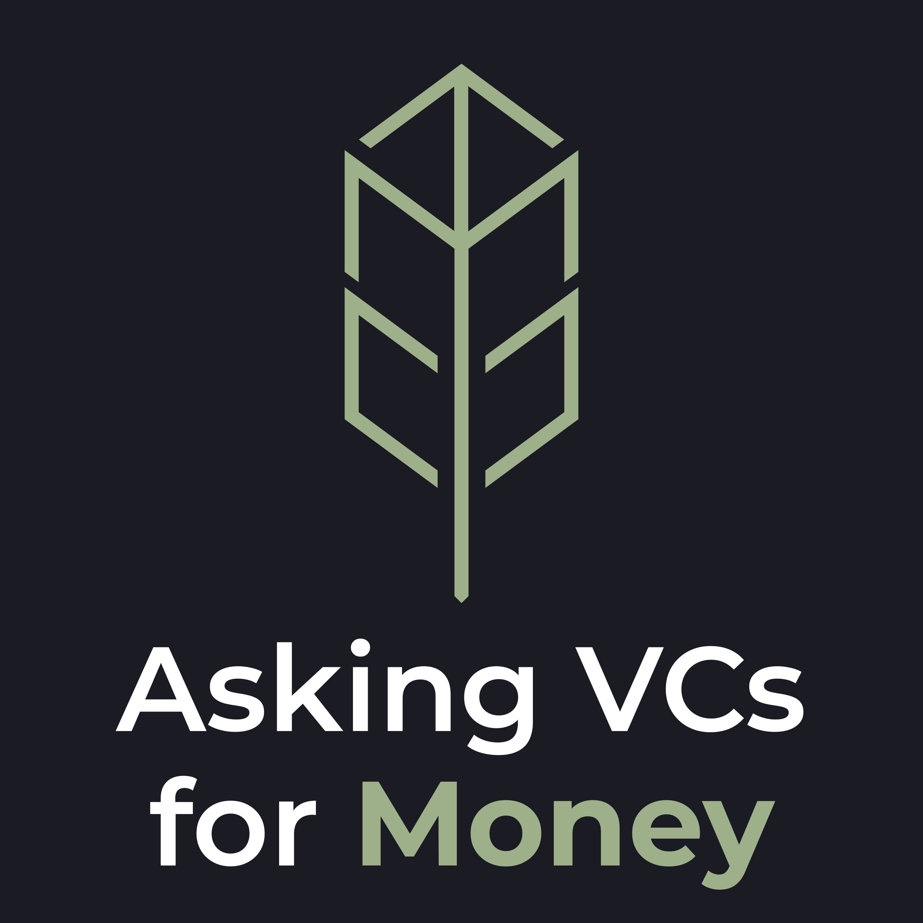 Asking VCs for Money cover artwork