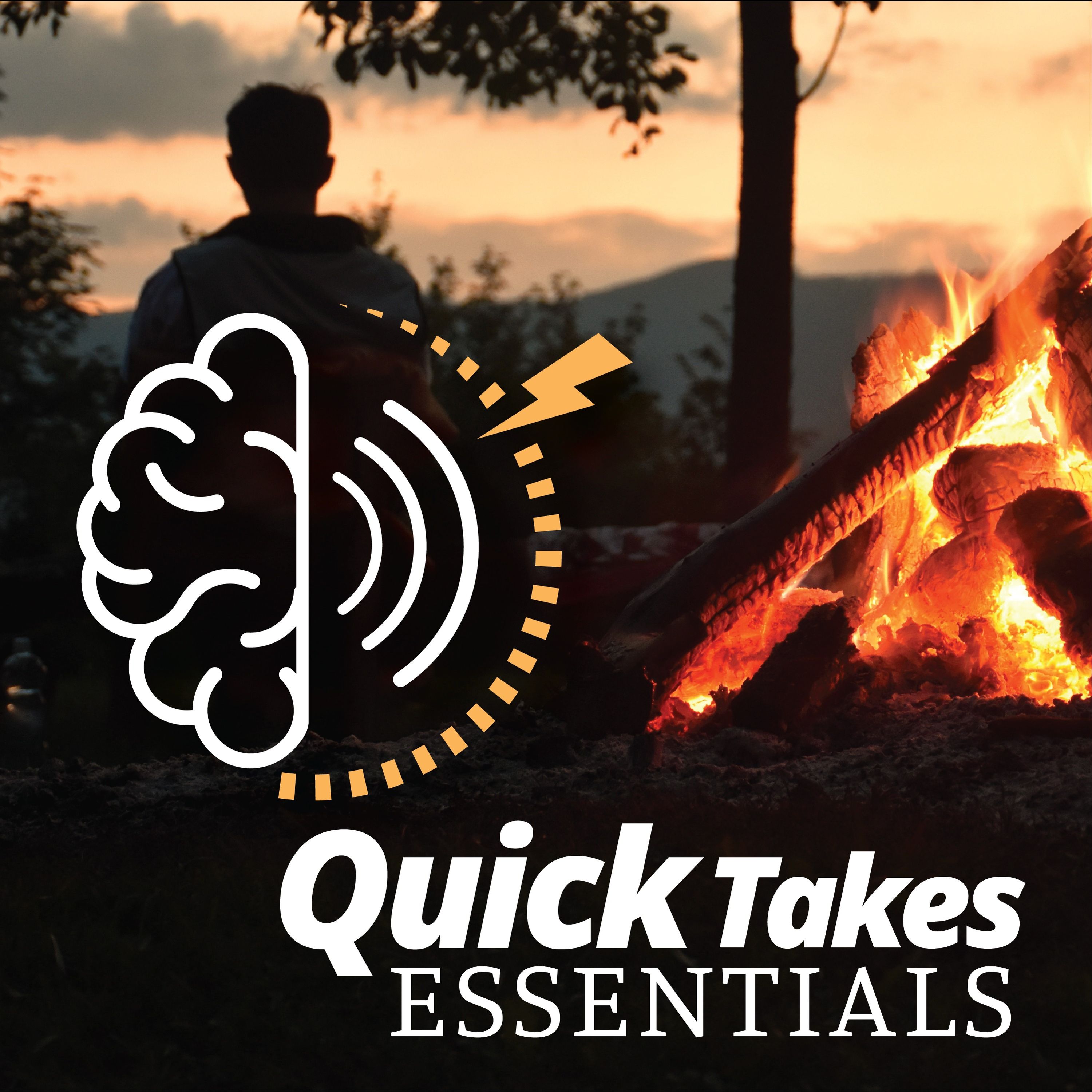 [Quick Takes Essentials] CANMAT depression update with Dr. Raymond Lam
