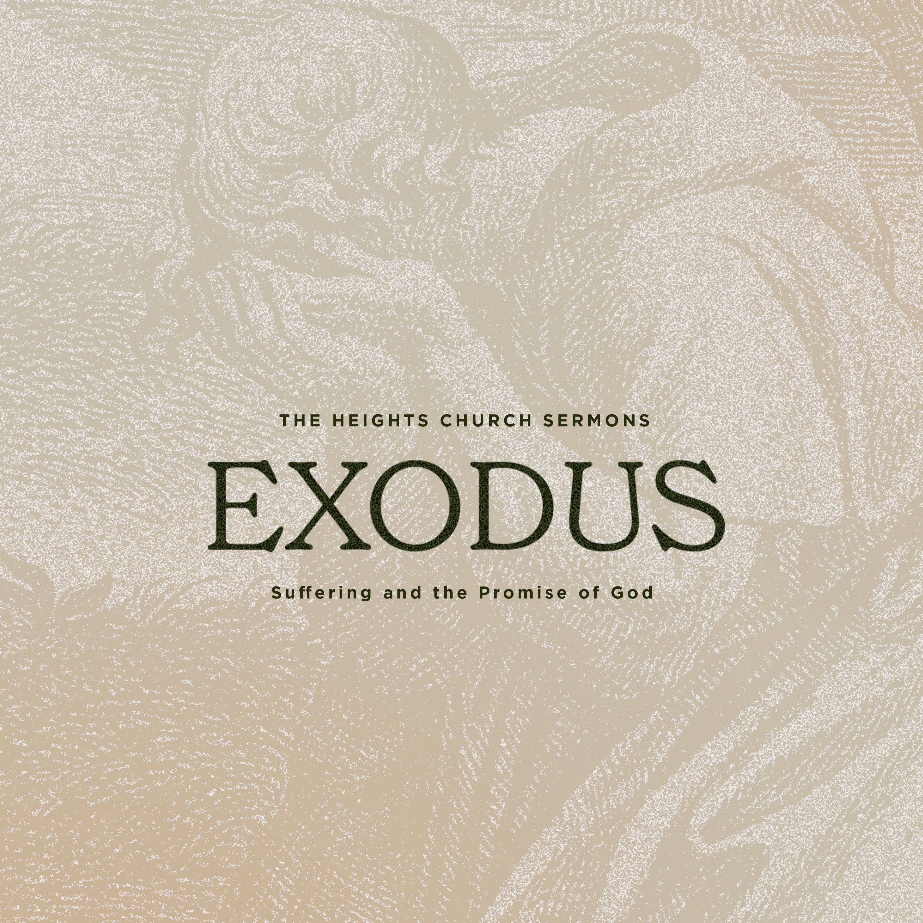 Suffering and the Promise of God - Exodus episode artwork