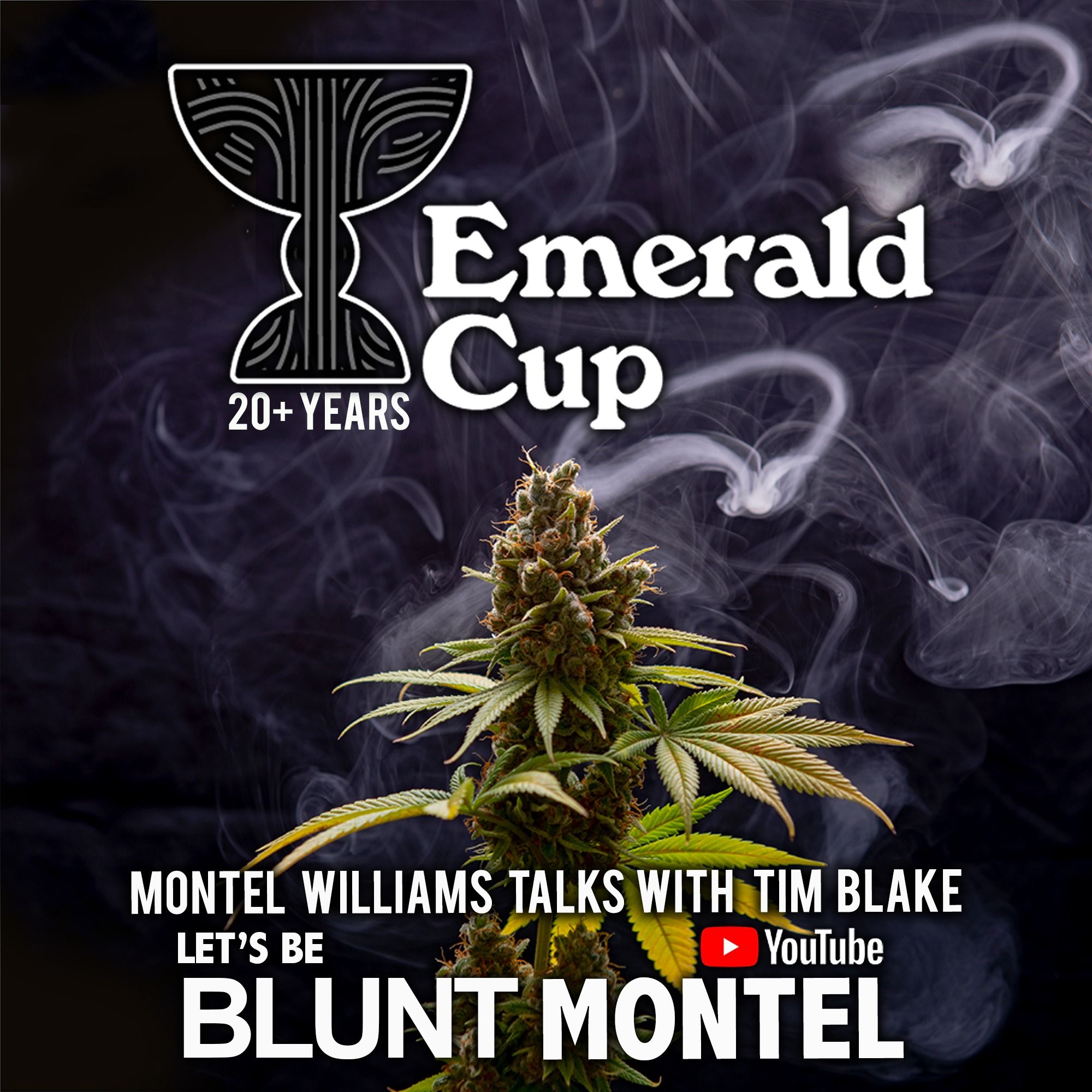 Let\'s be Blunt with Montel
