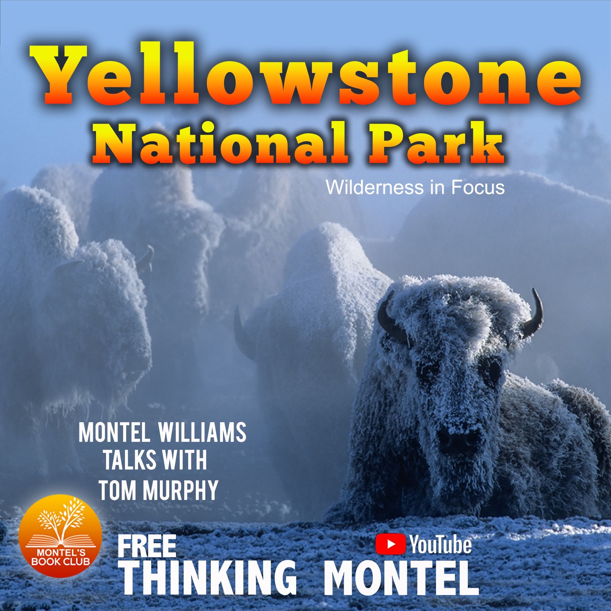 Play The Last Wild Places: Tom Murphy on Yellowstone