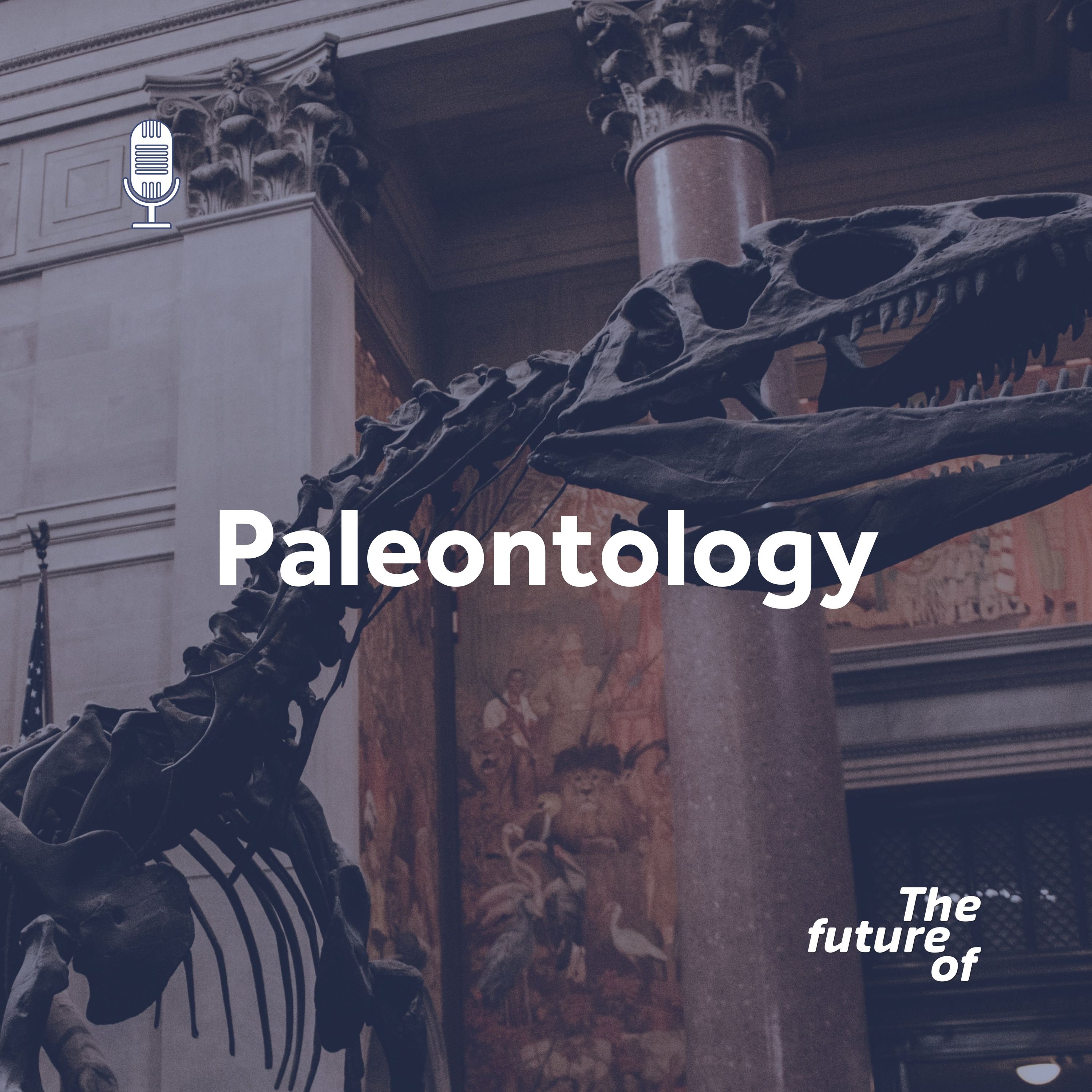Palaeontology