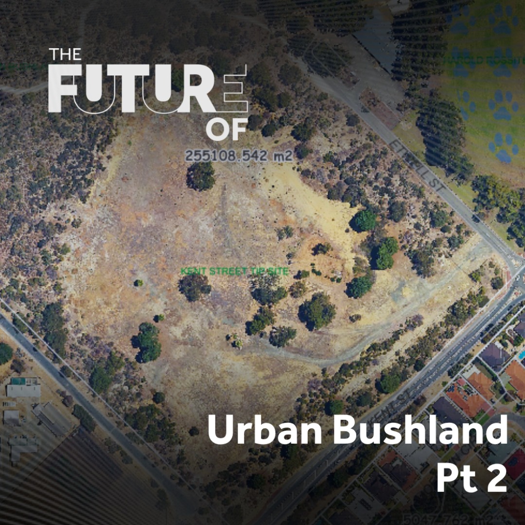 Urban Bushland Pt 2: Jirdarup, volunteers and sandpits