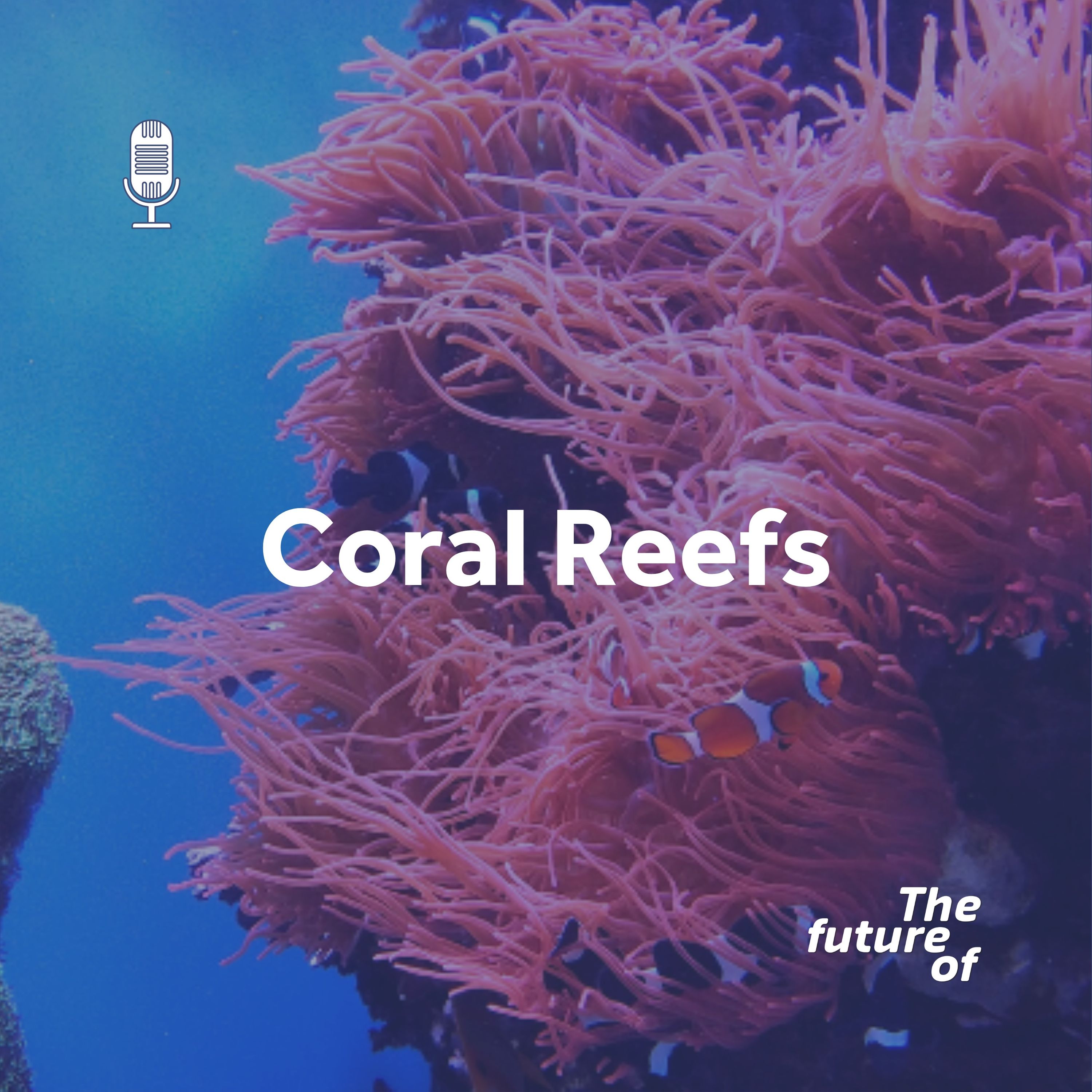 Coral Reefs