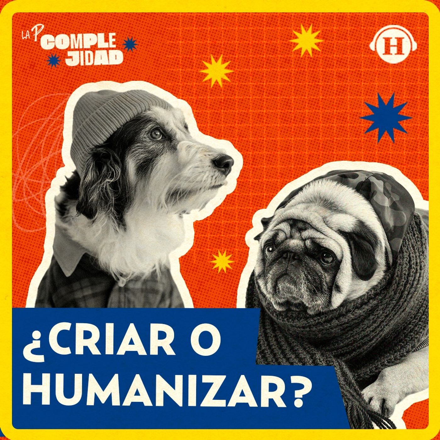 ¿Nos pasamos de pet friendly? Los límites que cruzamos con la crianza de nuestros perros