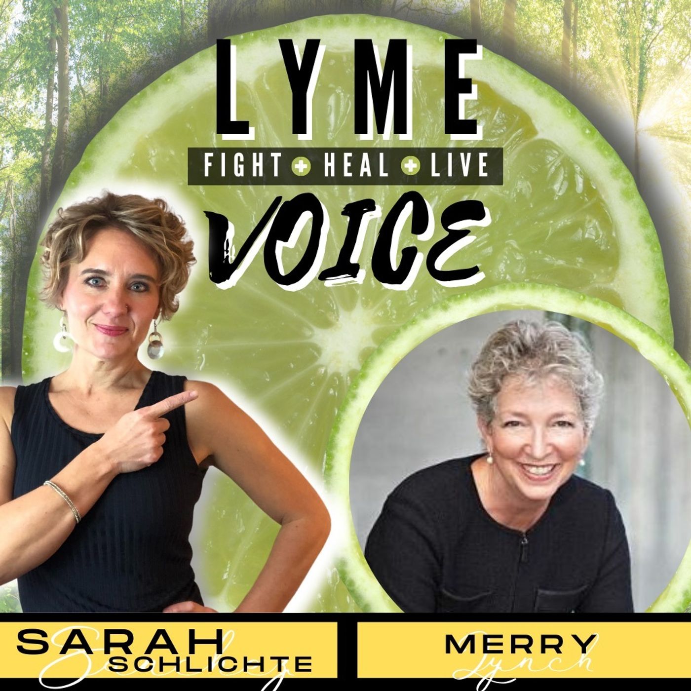 123 Create a Healing VISION for your life with Merry Lynch