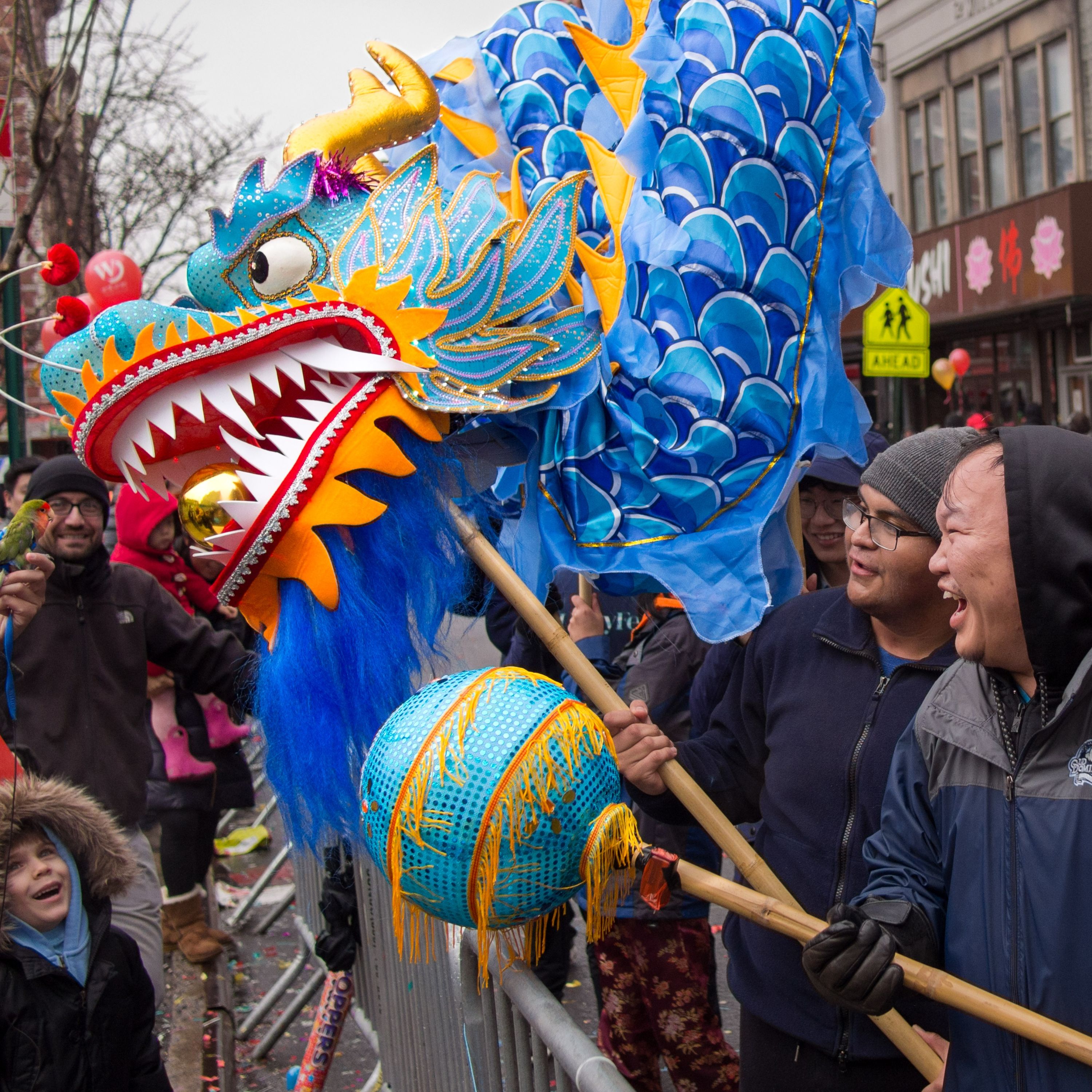 The Year of the Fire Horse and Your Lunar New Year Celebrations