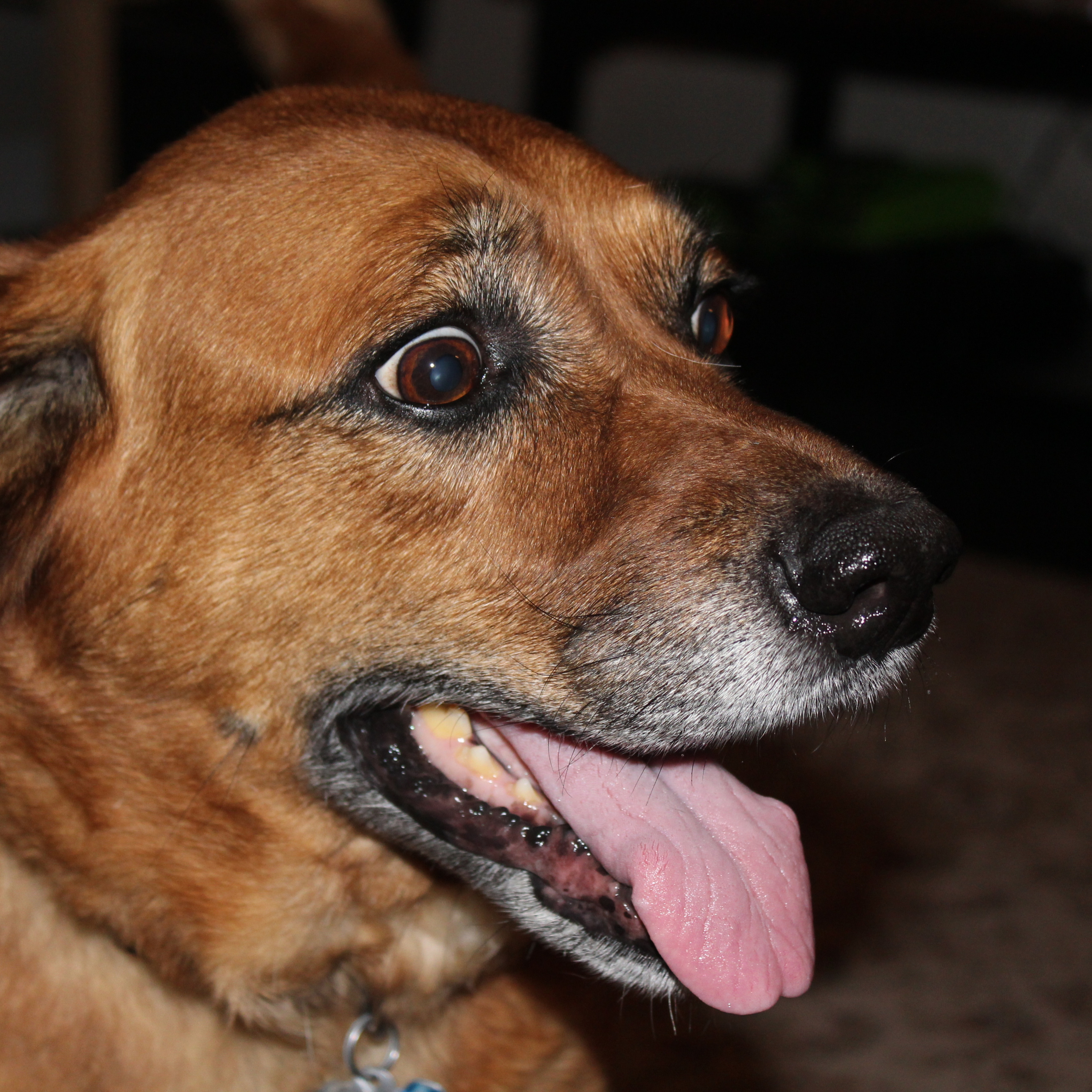 Brady