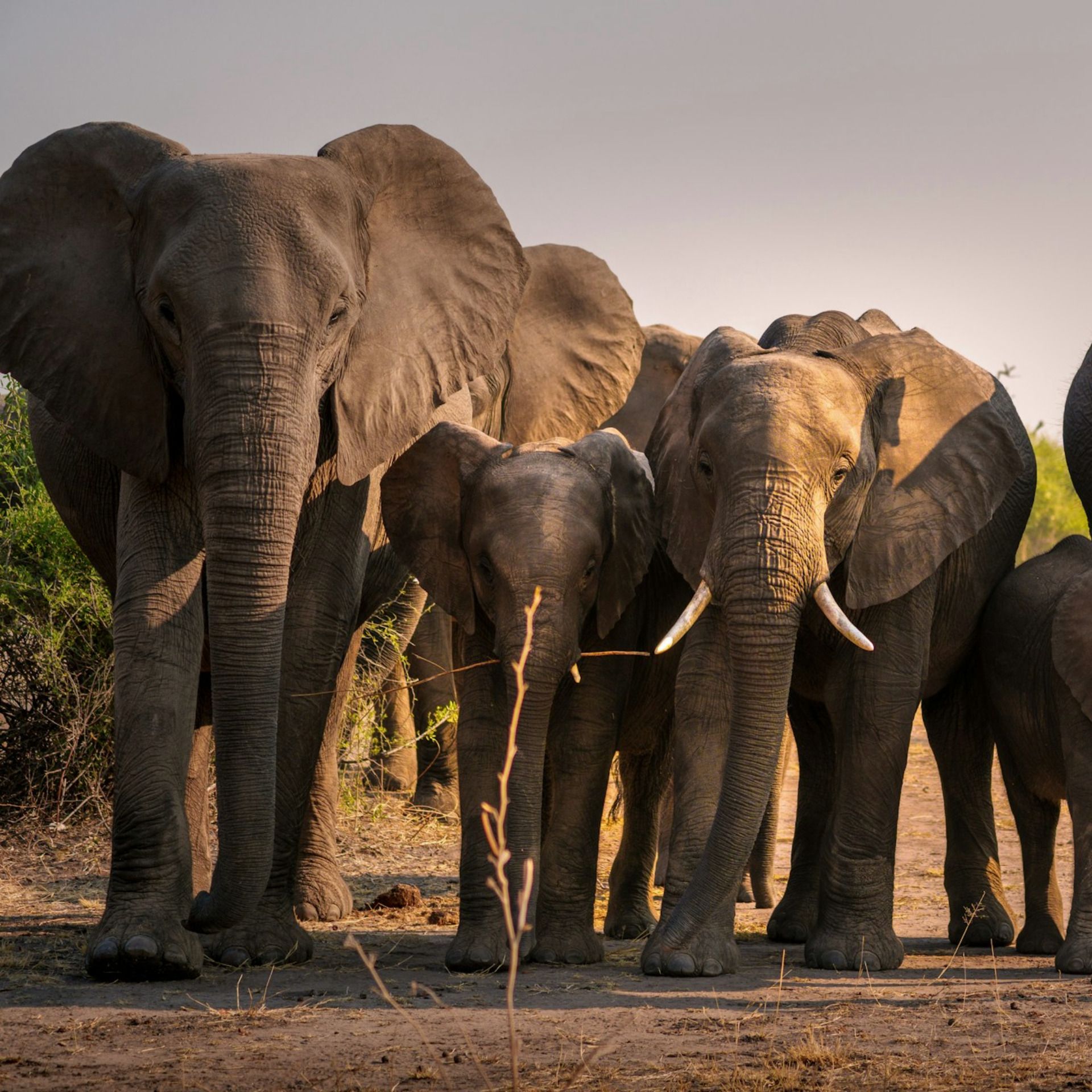 60 Seconds for Story Prompt Friday: Tell Me a Story About a Sunrise