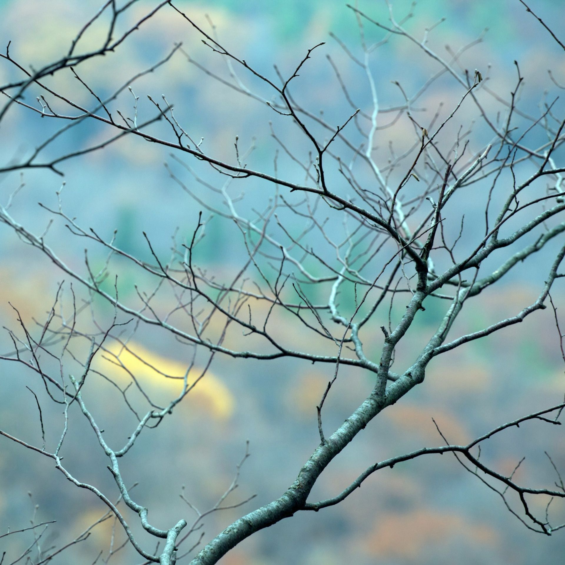 60 Seconds for Wednesdays on Whidbey: Breathing & Keeping Still This Silent Night