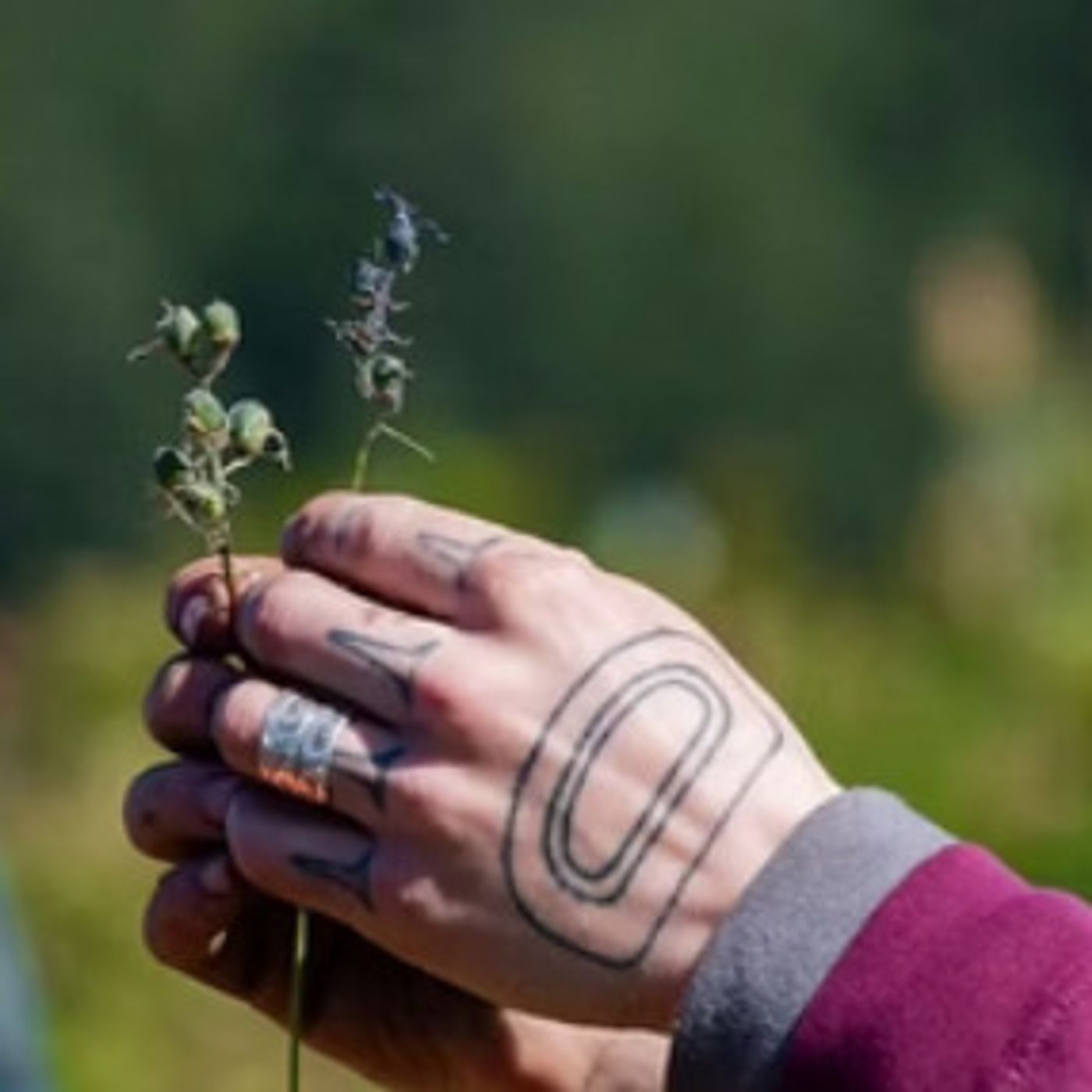 60 Seconds for Wednesdays on Whidbey: What Are You Waiting to Manifest?