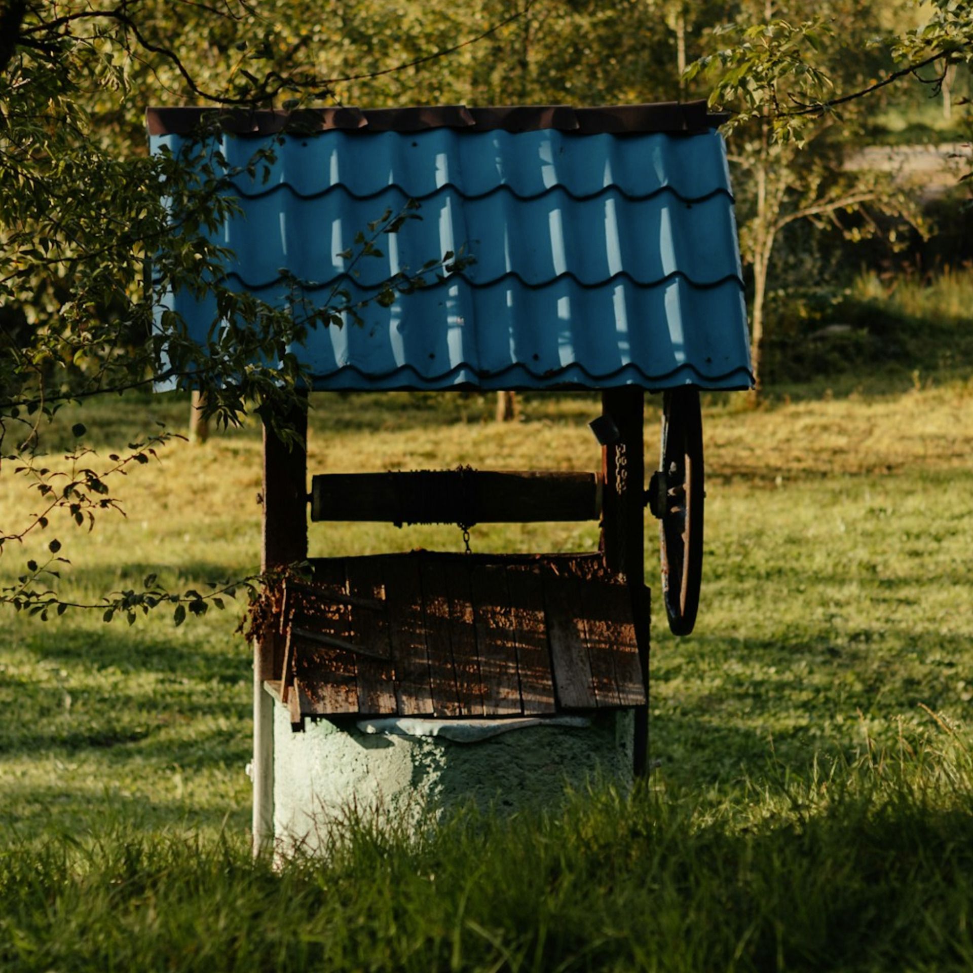 60 Seconds for Story Prompt Friday: Pearls, Toads and Speech