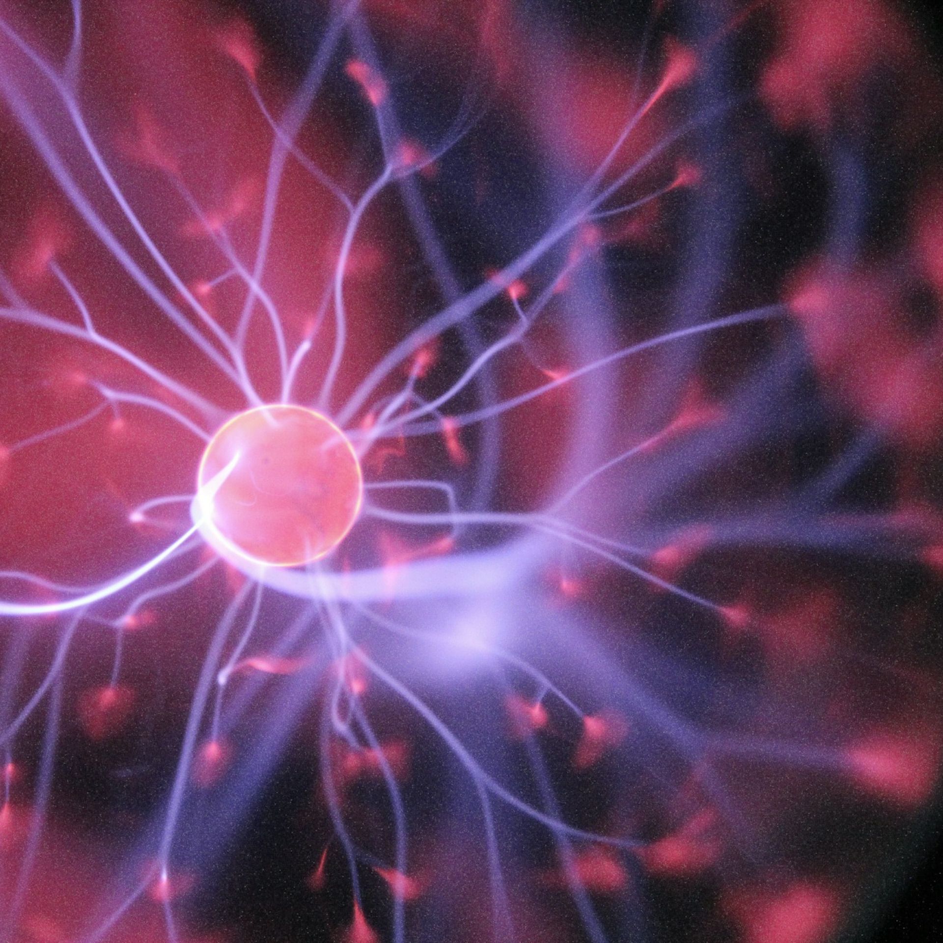 60 Seconds for Motivate Your Monday: Don’t Toss Out Your Moldy Bread Just Yet!