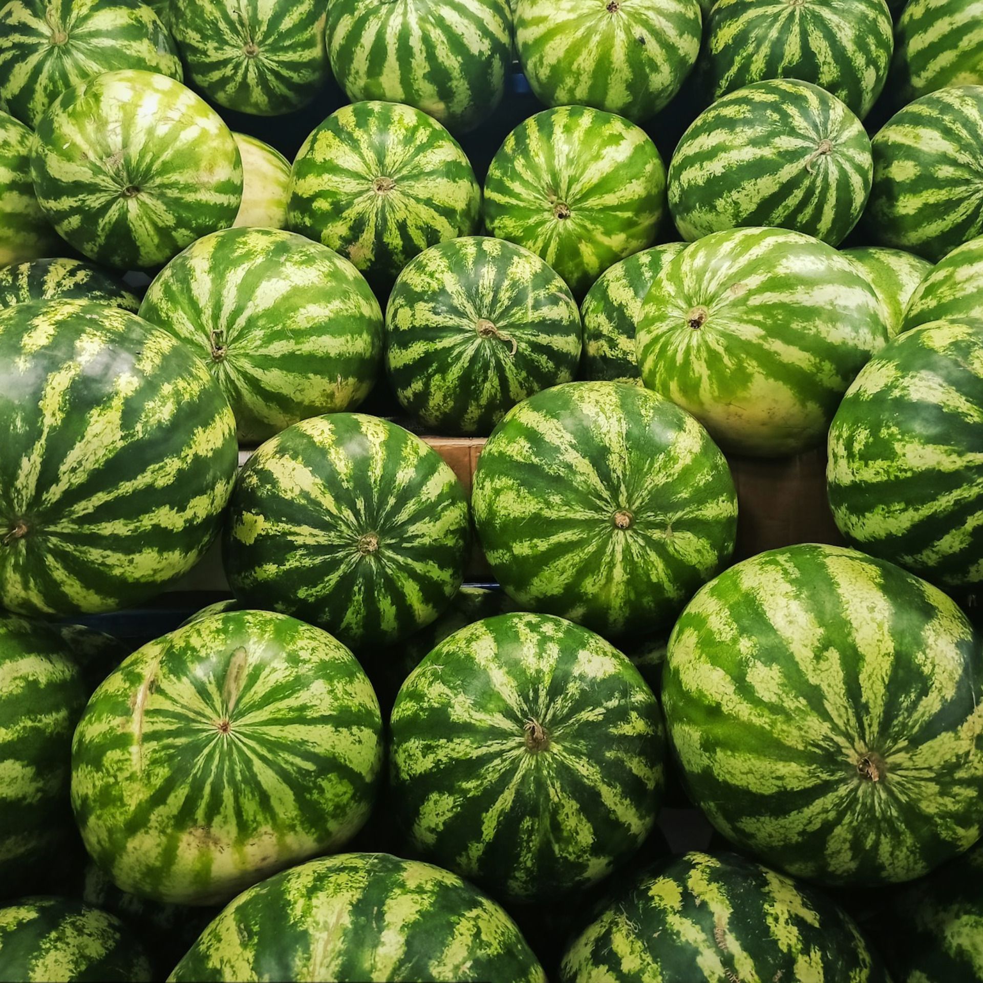 60 Seconds for Story Prompt Friday: Walnuts & Watermelons