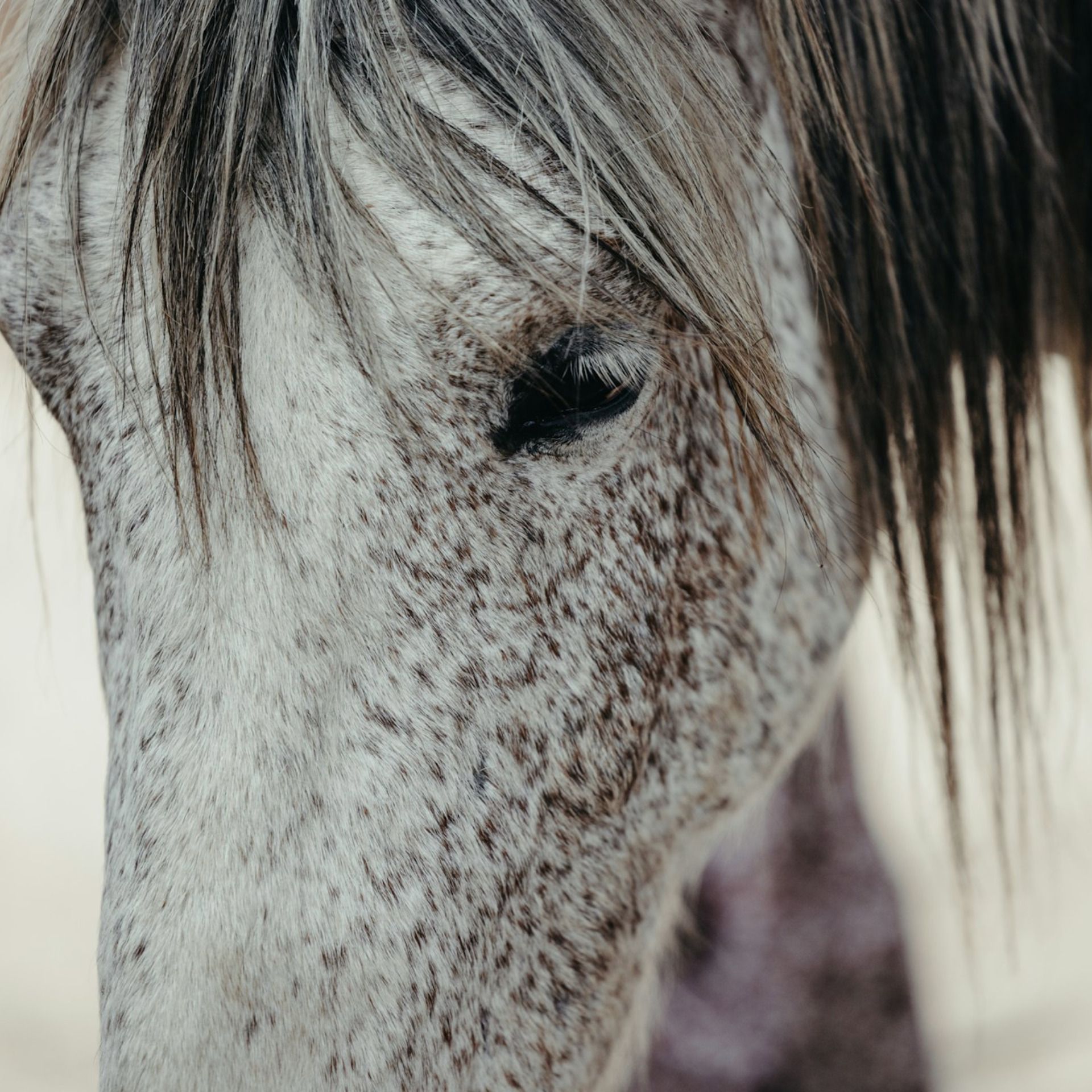 60 Seconds for Story Prompt Friday: How Can We Know the Good or Bad Nature of What Happens?