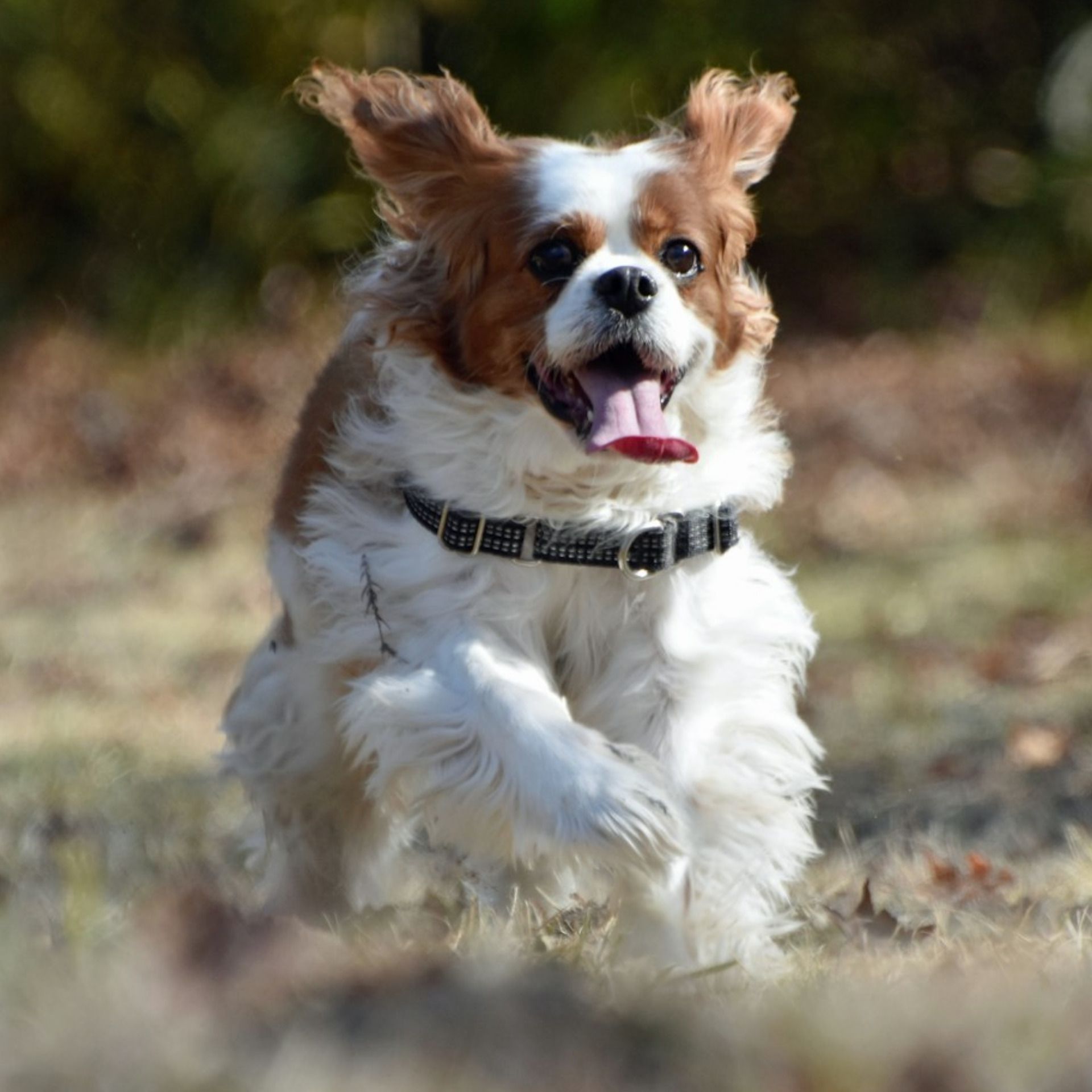 60 Seconds for Motivate Your Monday: A Tip to Run Free When Fear Blocks Your Creativity