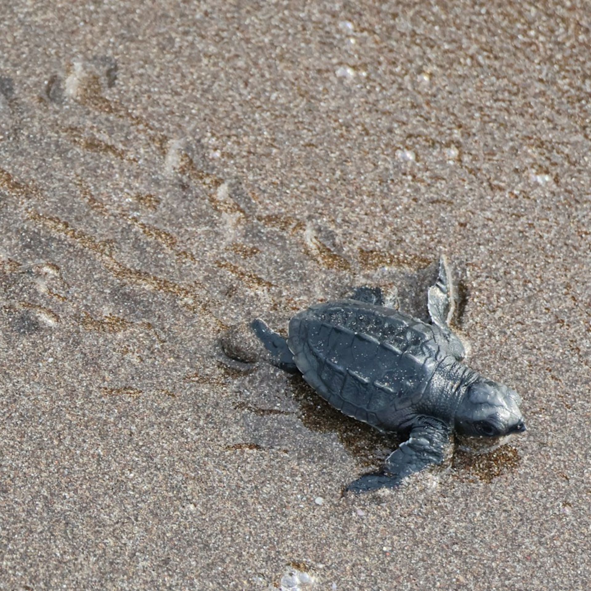 60 Seconds for Wednesdays on Whidbey: Let Go of Perfect & Grab Hold of Uncertainty