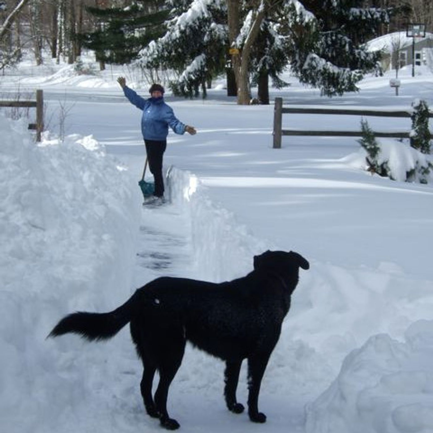 60 Seconds for Story Prompt Friday: An East Coast Girl Yearns for Winter’s Promise
