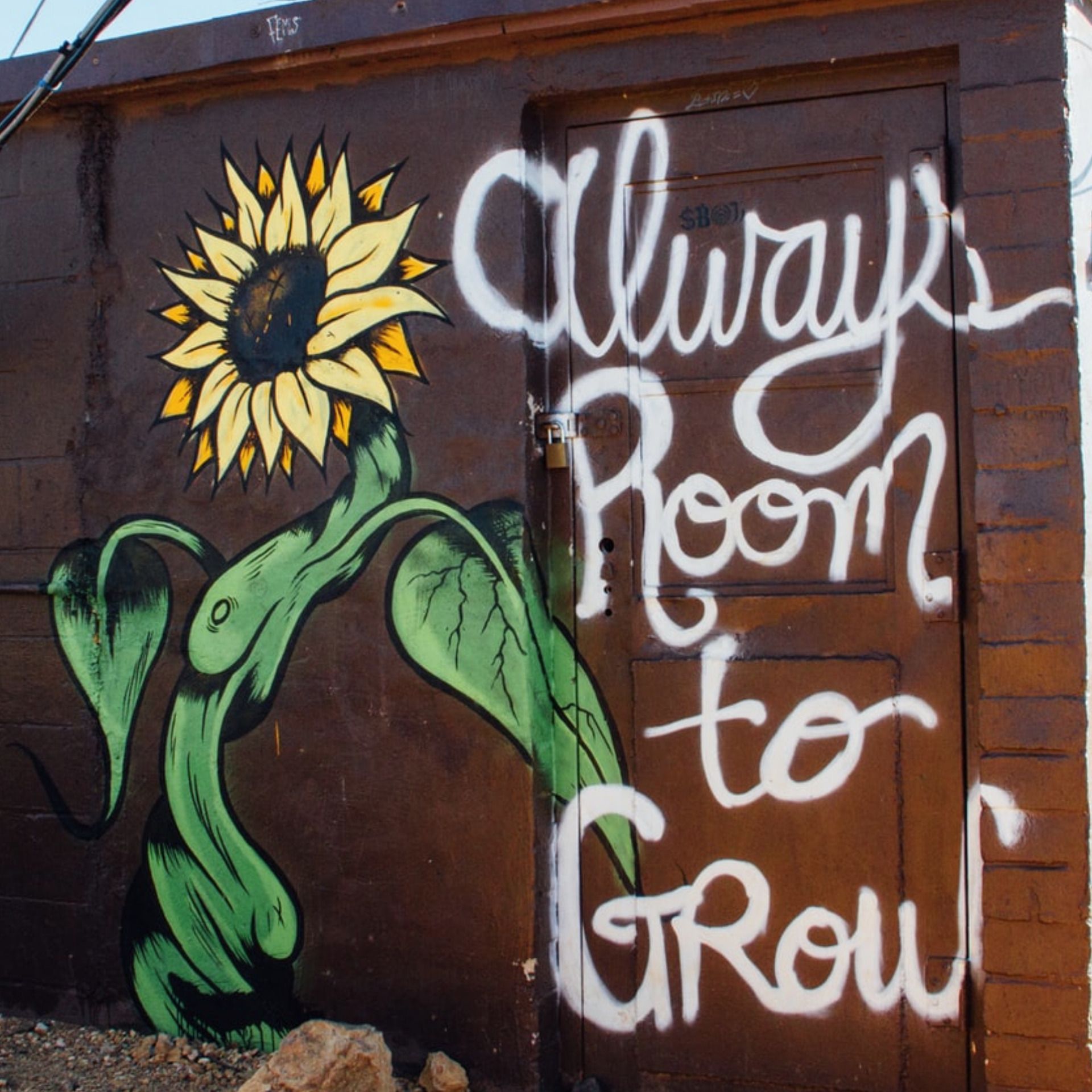 60 Seconds for Wednesdays on Whidbey: How Do We Grow Away From Discord?