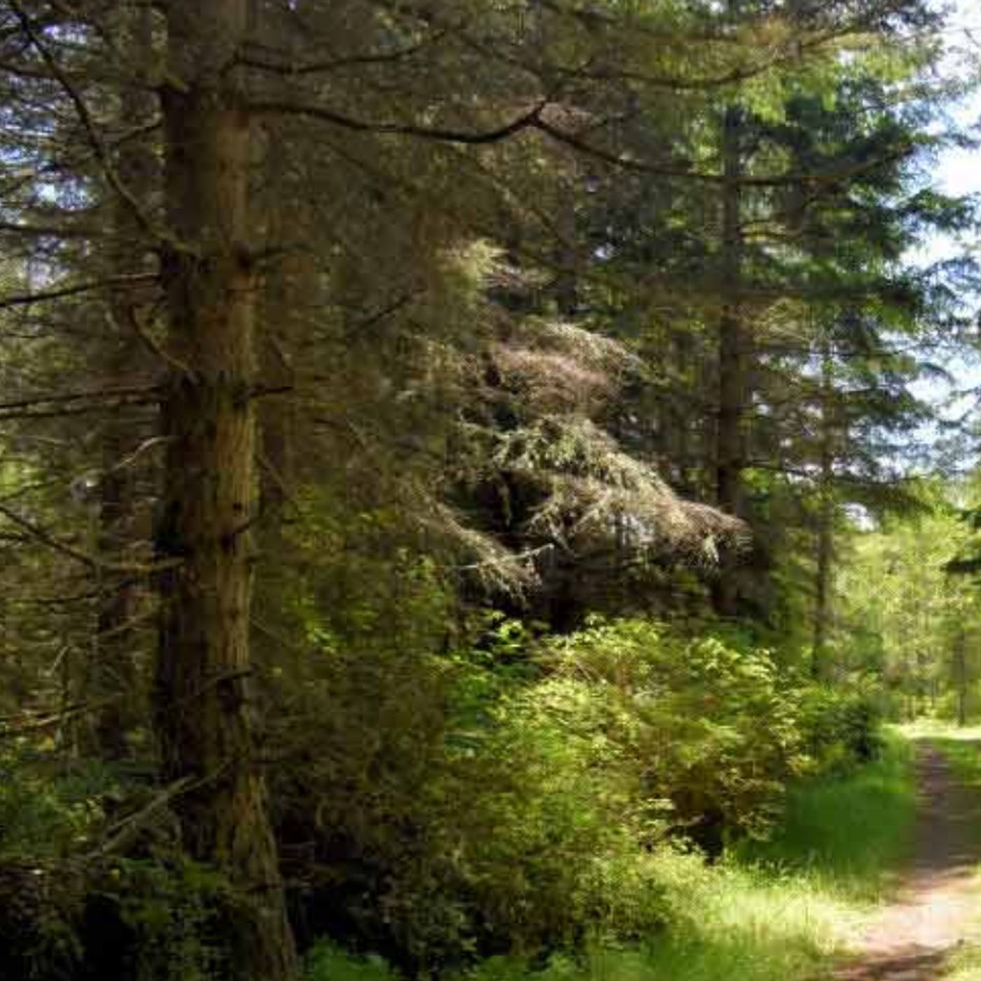 60 Seconds for Wednesdays on Whidbey: Being Alive in Stillness & Silence