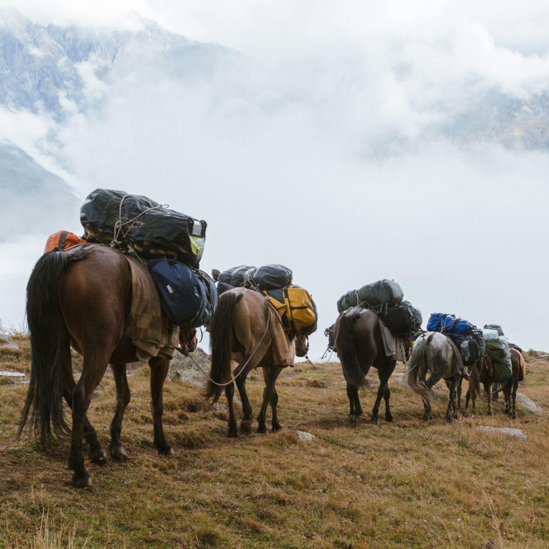 60 Seconds for Wednesdays on Whidbey: Carrying What Load?
