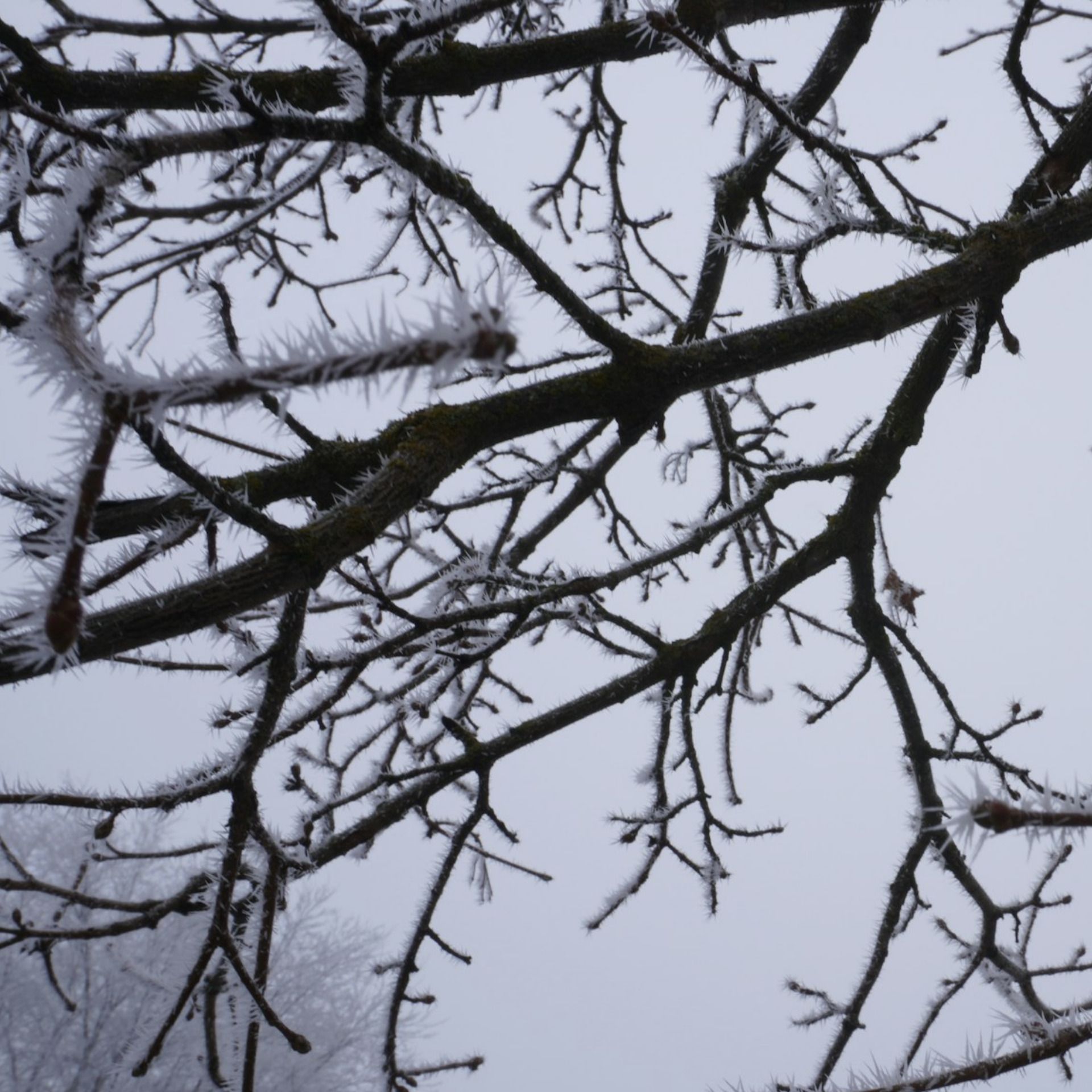 60 Seconds for Motivate Your Monday: Breathe. You Got This! It’ll Be Alright