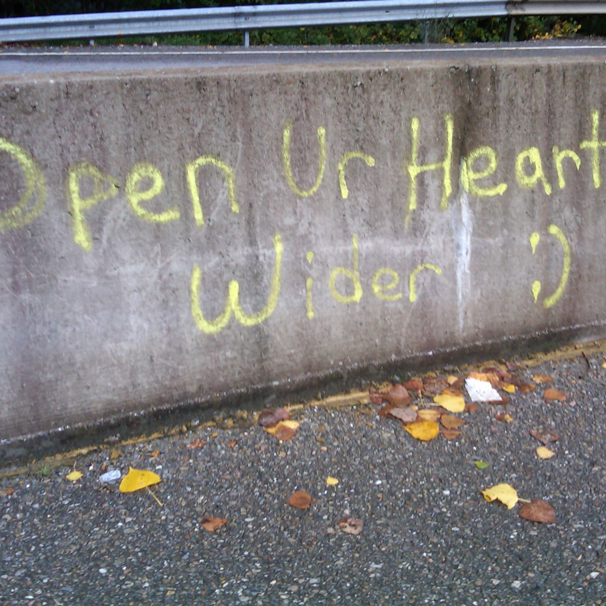 60 Seconds for Wednesdays on Whidbey: Feeling Despair About Democracy's Long Game? Try This!