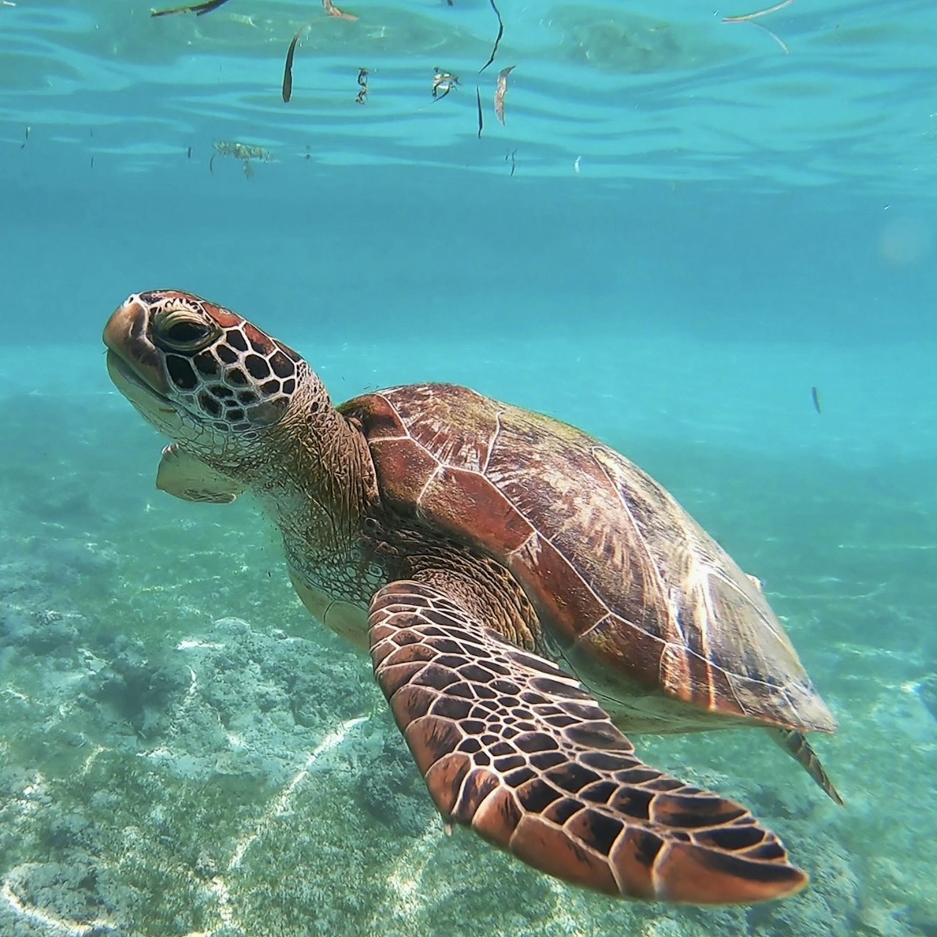 60 Seconds for Motivate Your Monday: Exploit the Chaos Before It Goes to Waste