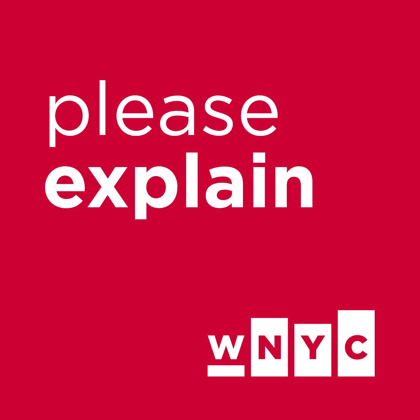 Please Explain (The Leonard Lopate Show)