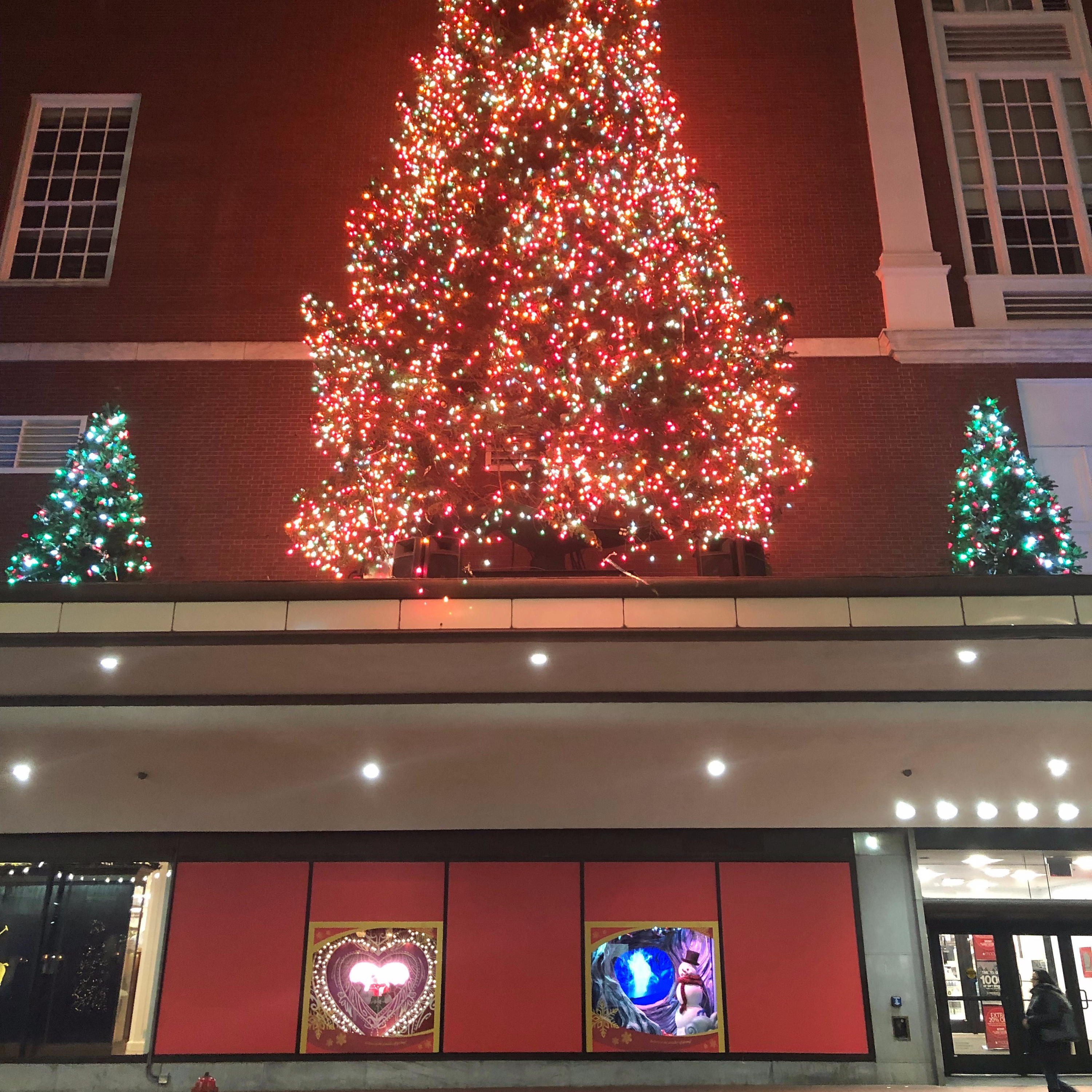 S2 E4: Holiday Arts Events & Shows of 2019