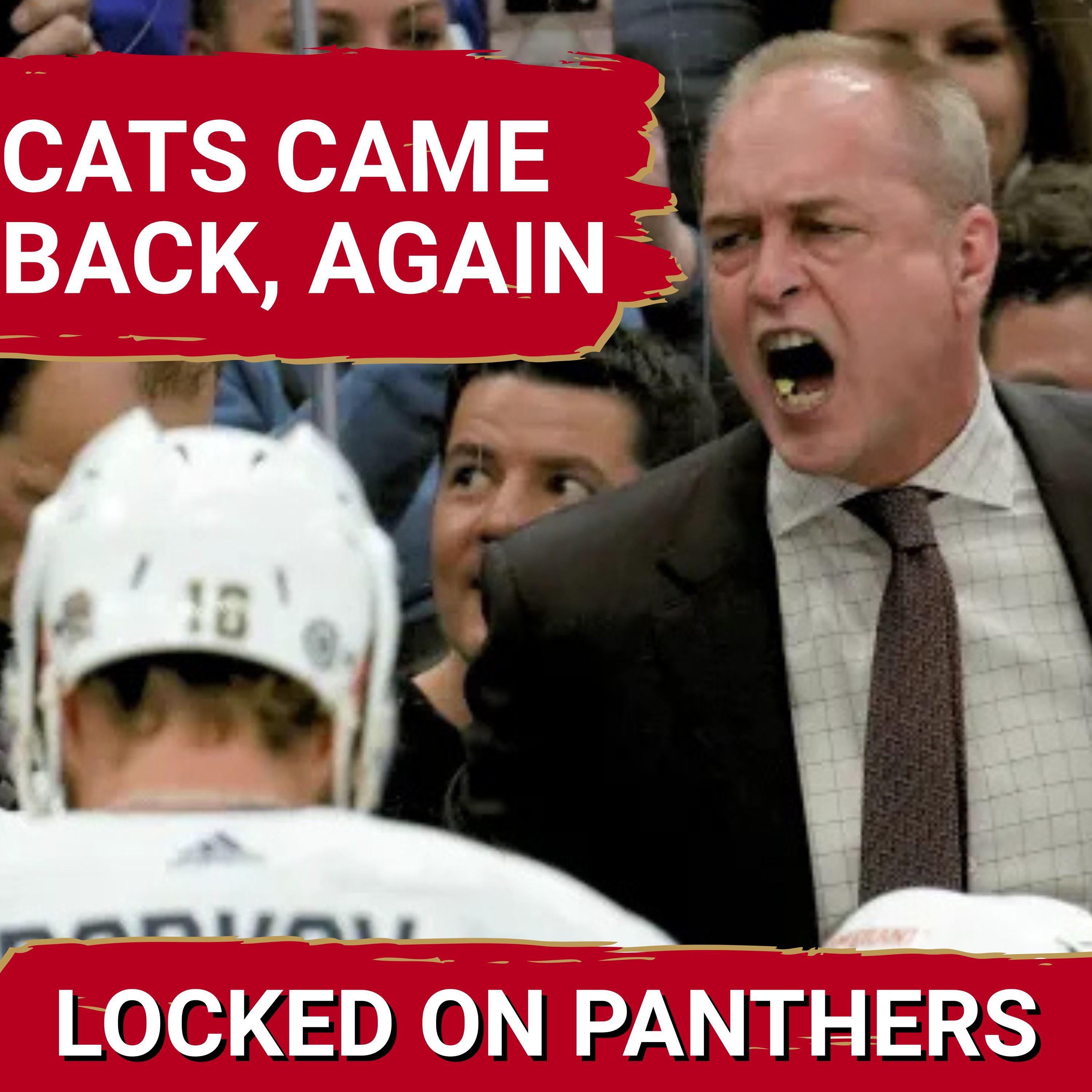DEJA VU! Panthers came back by multiple scores and won against over the Hurricanes!
