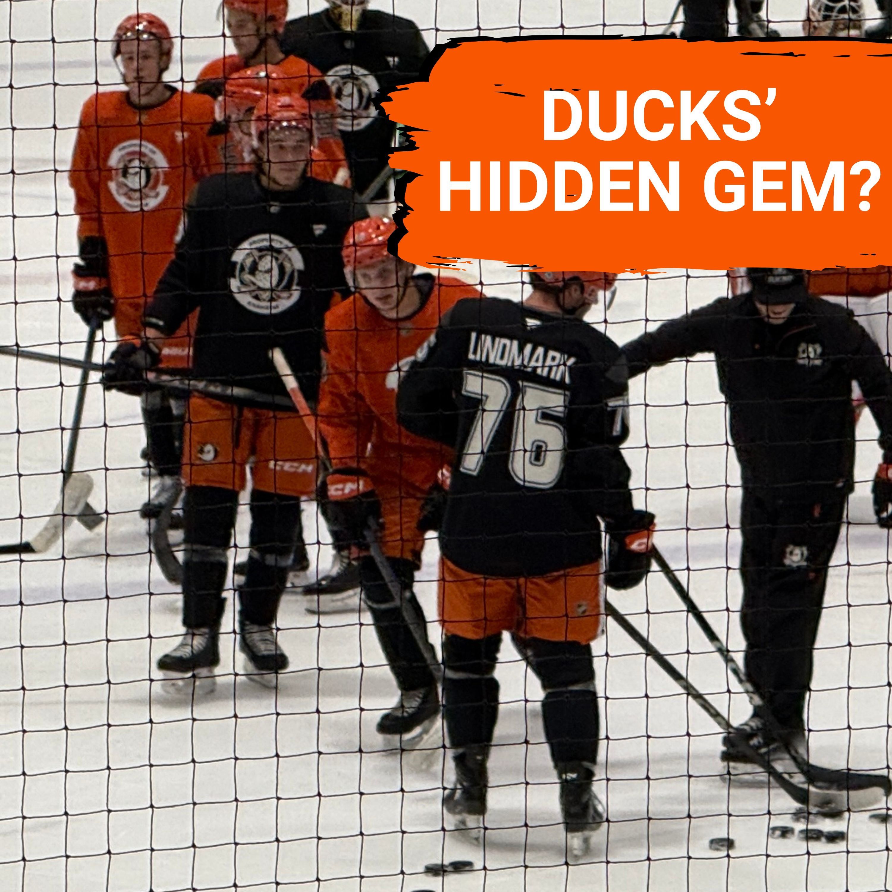 ANALYSIS: Anaheim Ducks Prospects SHINE in Practice | Who Will CRACK the NHL Lineup?