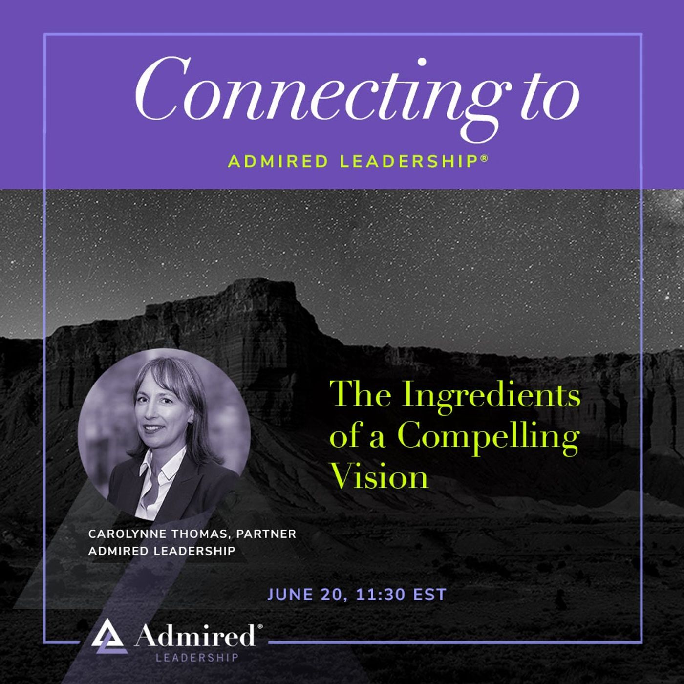 The Ingredients of a Compelling Vision