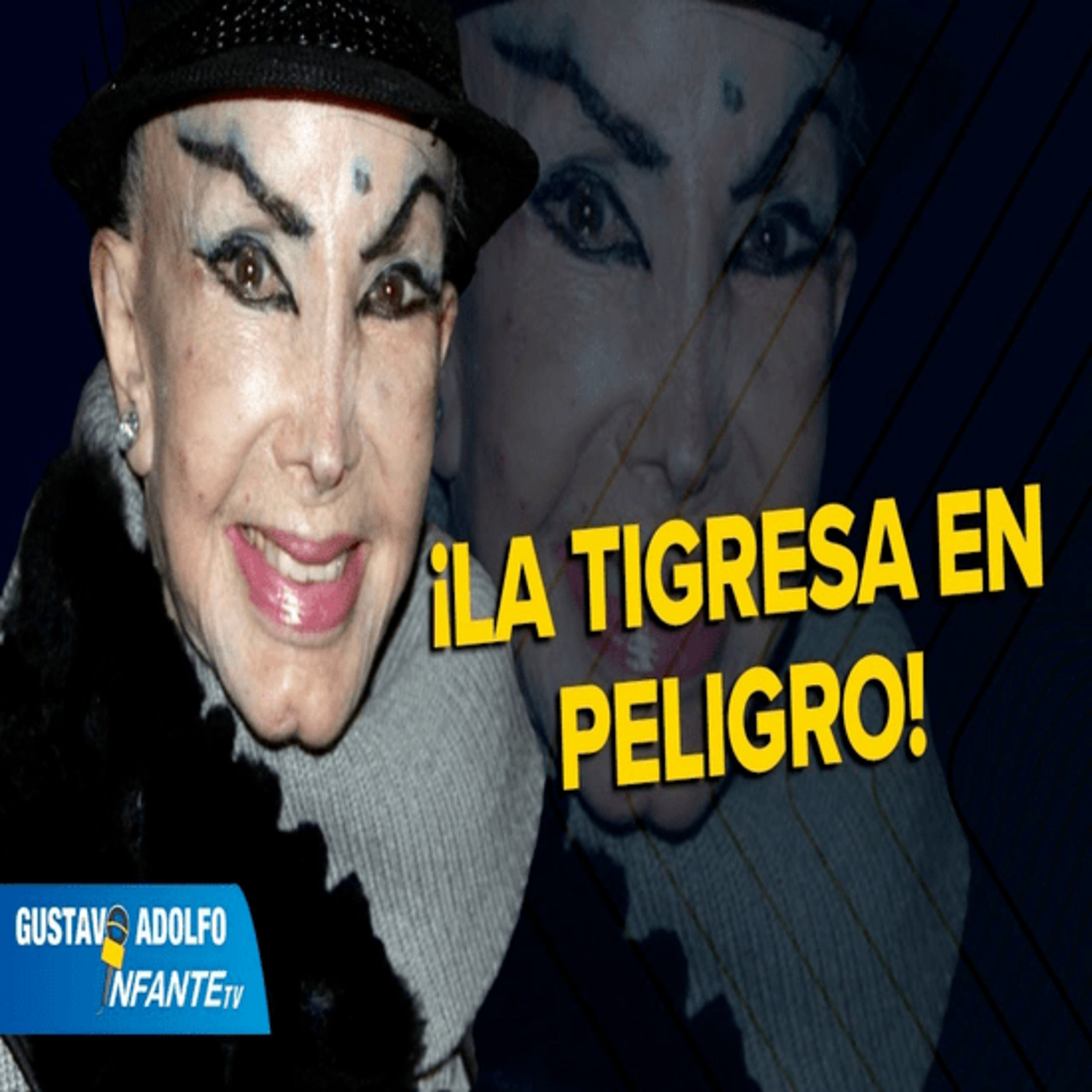 Gustavo Adolfo Infante TV
