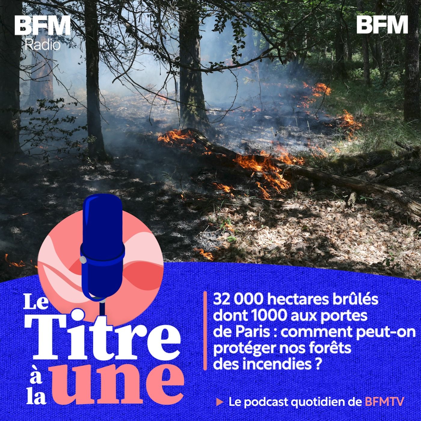 32 000 hectares brûlés dont 1000 aux portes de Paris : comment peut-on protéger nos forêts des incendies ?