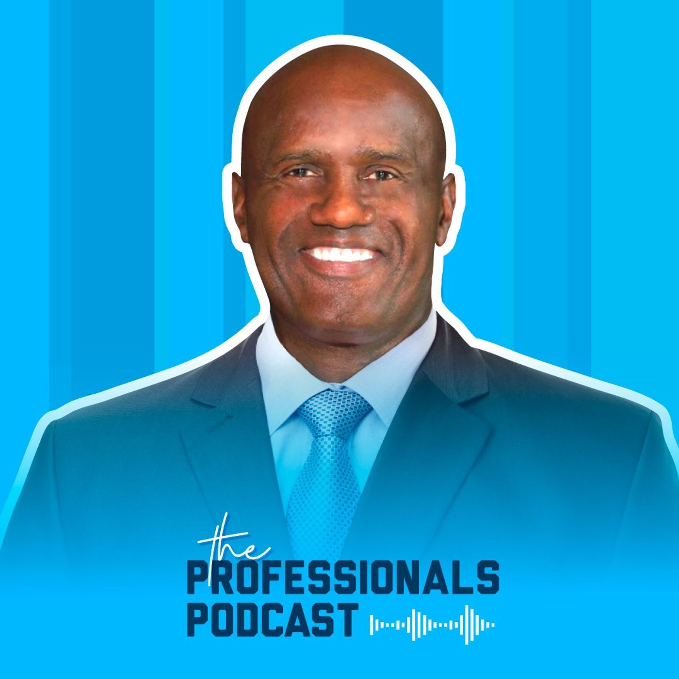 The Professionals Podcast
