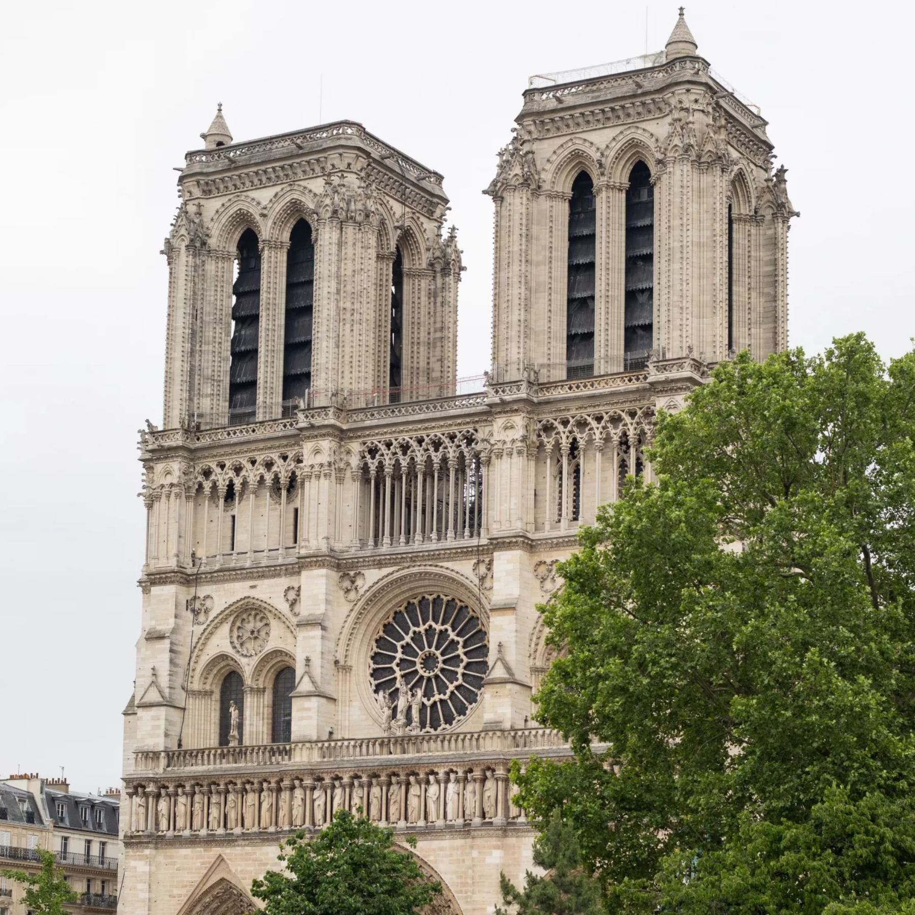 Artykuł: Paryska katedra Notre-Dame po odbudowie lśni jeszcze jaśniej niż dotąd Episode cover